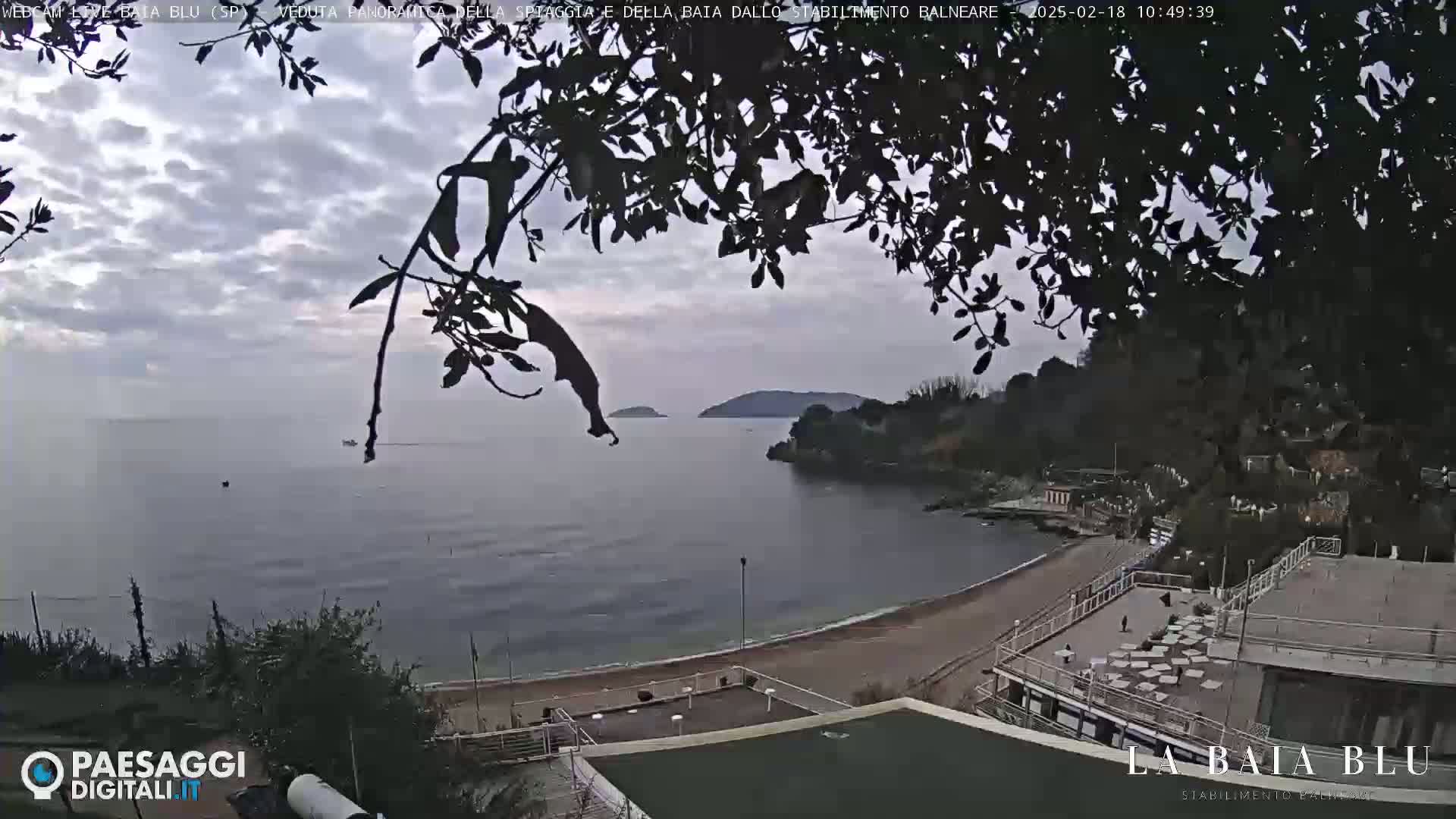 A partly cloudy day reveals a tranquil bay with a sandy beach and shoreline buildings, partially obscured by tree branches.