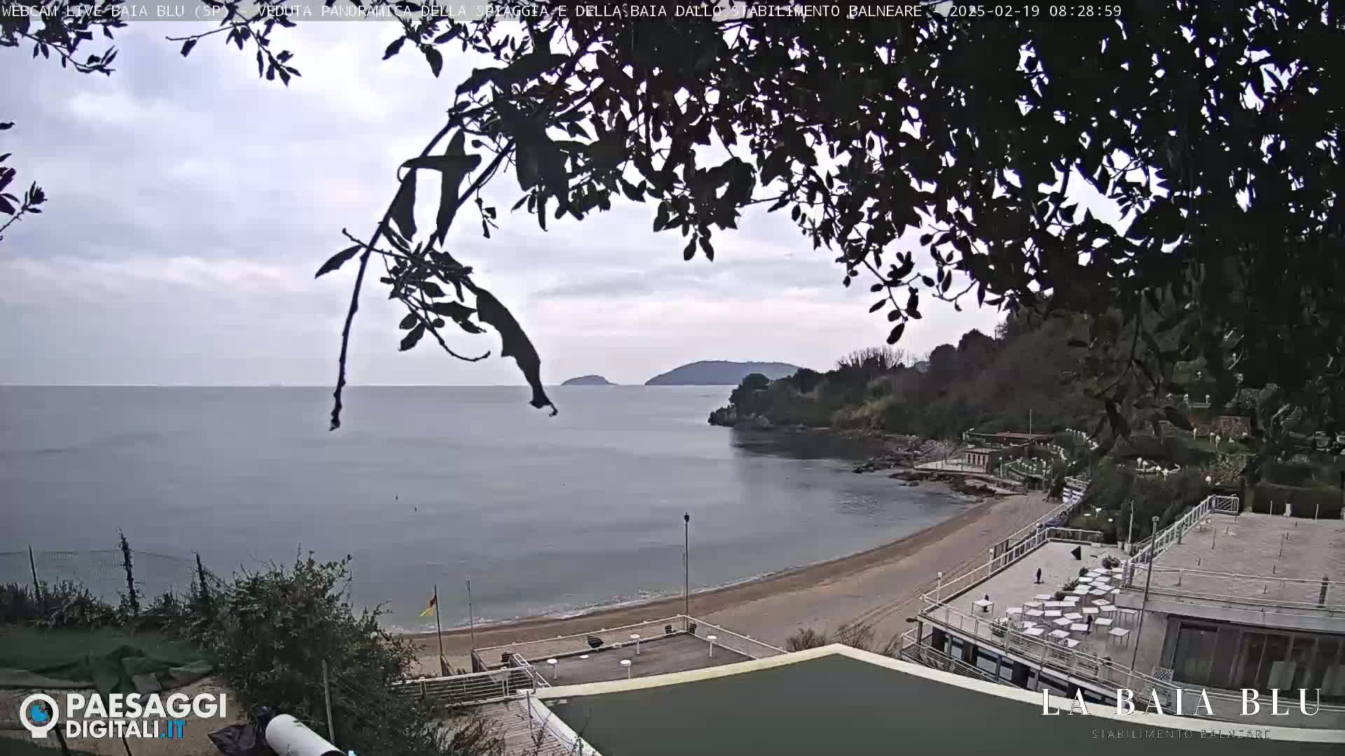 A beach with calm, gray water, partially obscured by tree branches, under an overcast sky.