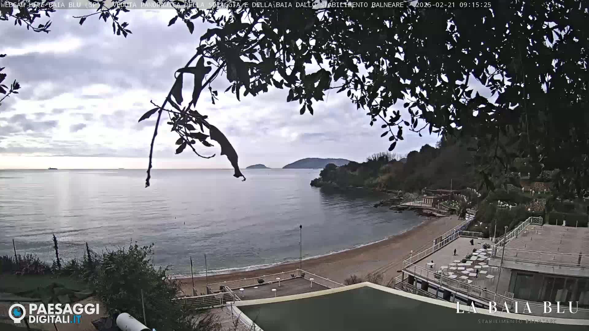 An overcast day shows a sandy beach and calm ocean water, partially obscured by tree branches, with distant hills visible across the bay.