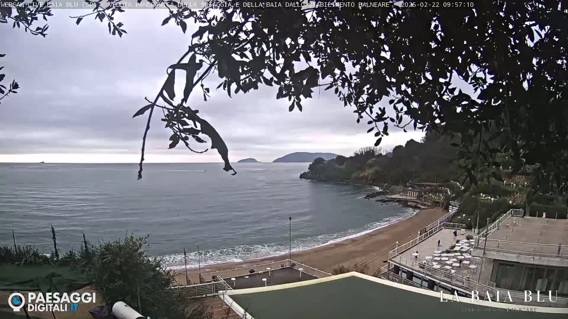 A beach with calm, grey water under an overcast sky is partially obscured by tree branches, with buildings and hills visible in the background.