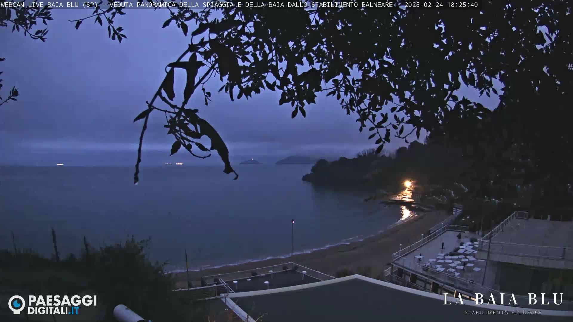 A twilight view of a calm bay, partially obscured by silhouetted tree branches, shows a sandy beach and buildings near the water's edge under a dusky sky.