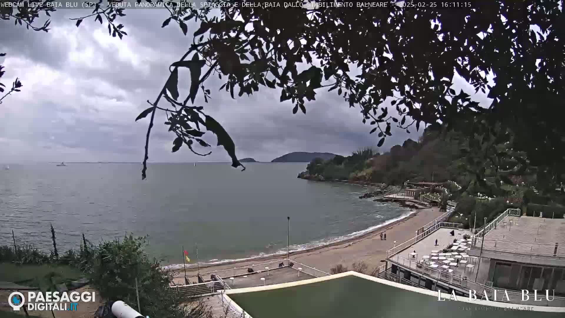 An overcast day at a sandy beach with calm water, seen from a high vantage point, partially obscured by tree branches.
