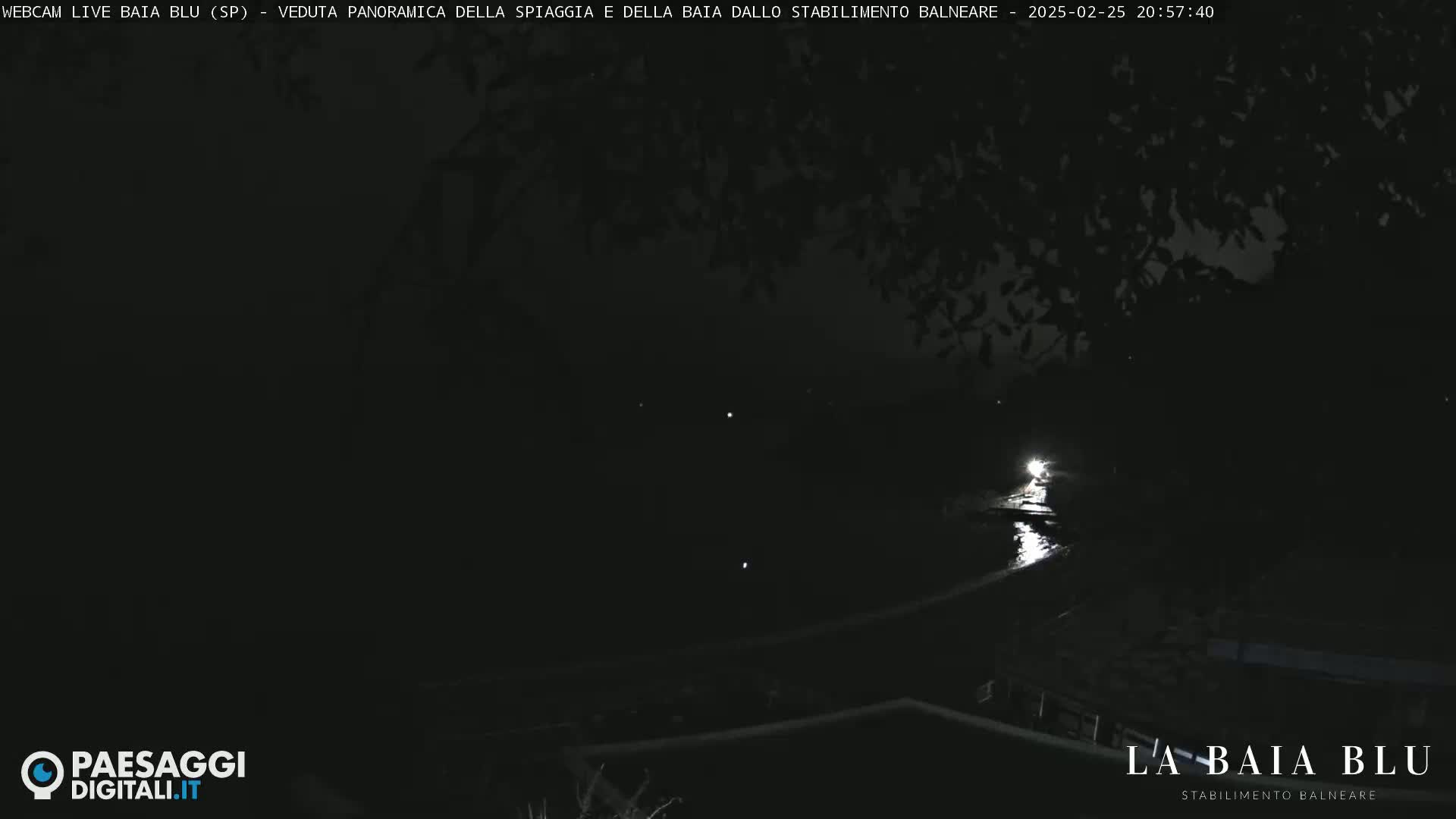 A dark nighttime scene of a body of water with a few faint lights visible, partially obscured by overhanging trees.