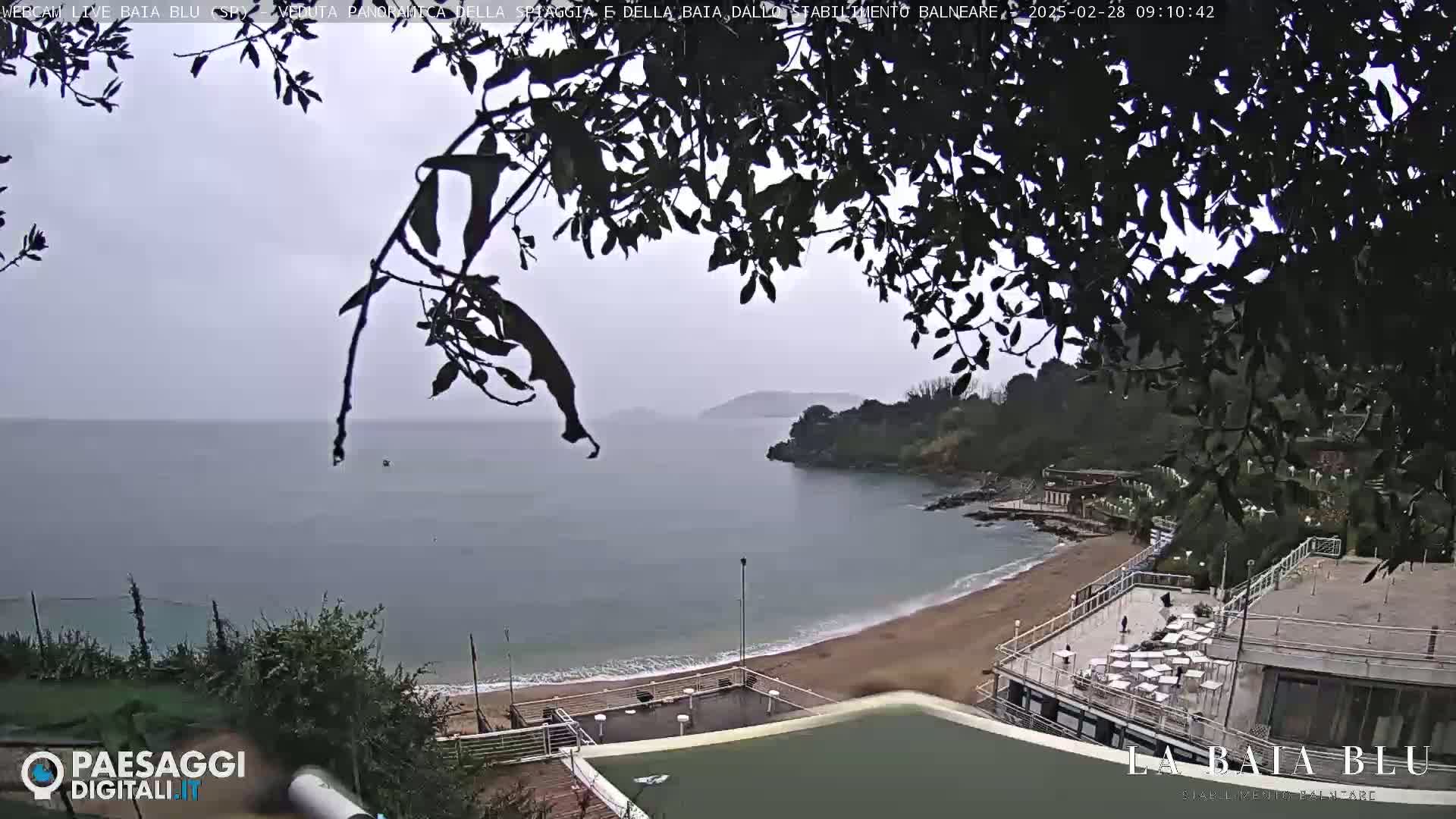 A view of a sandy beach and calm bay on an overcast day, partially obscured by tree branches.
