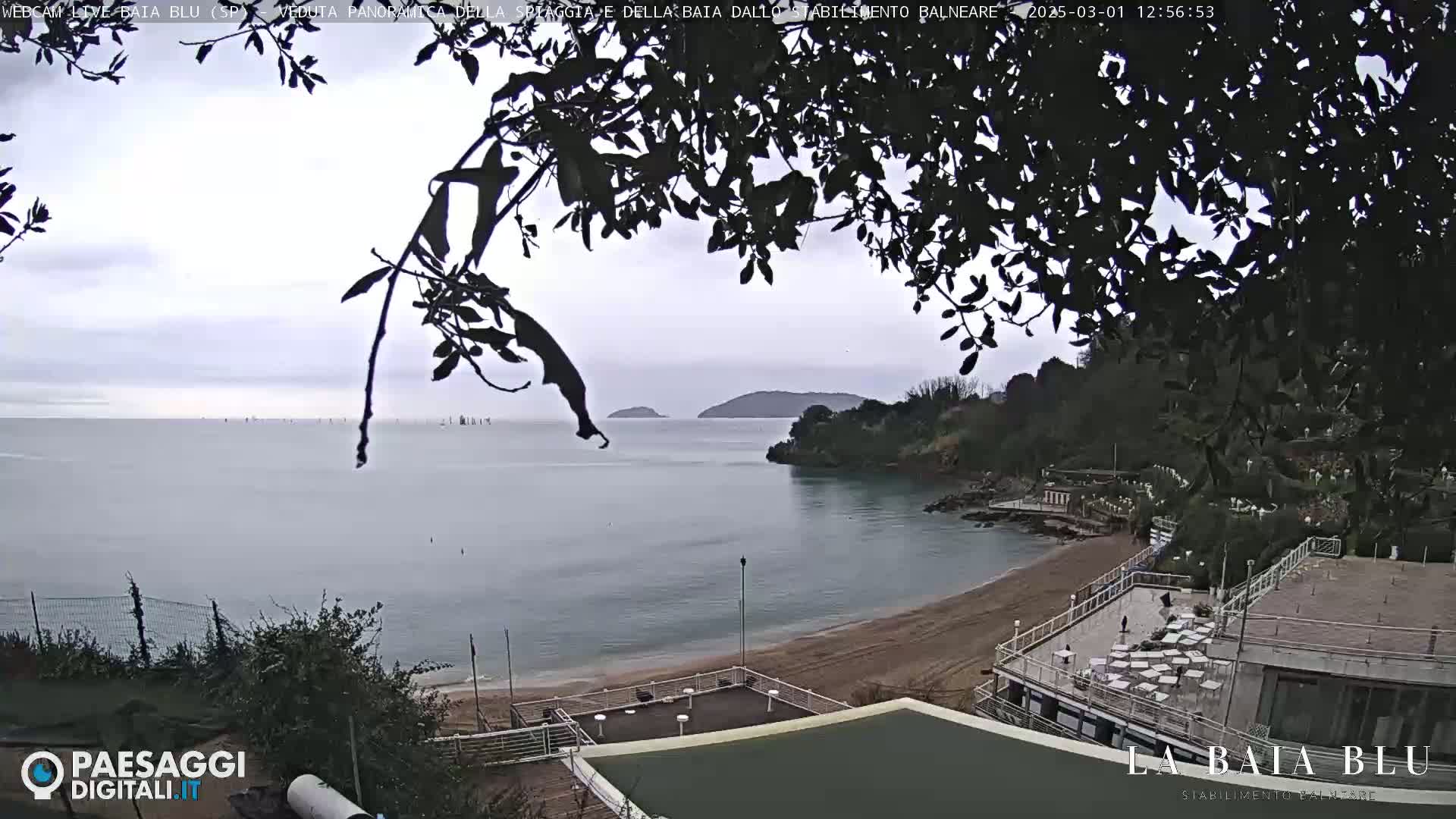 A mostly cloudy day overlooks a sandy beach and calm bay, partially obscured by tree branches in the foreground.