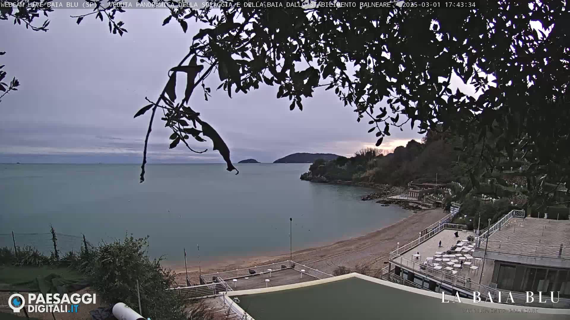 A mostly cloudy, dusky outdoor view of a sandy beach and calm bay, partially obscured by tree branches in the foreground.