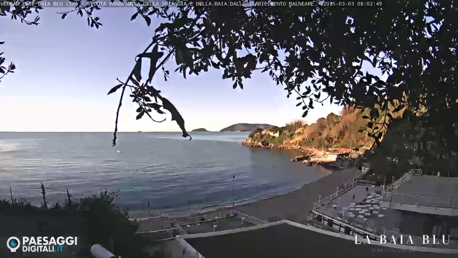 A calm, clear day overlooks a sandy beach and calm bay partially obscured by overhanging tree branches.
