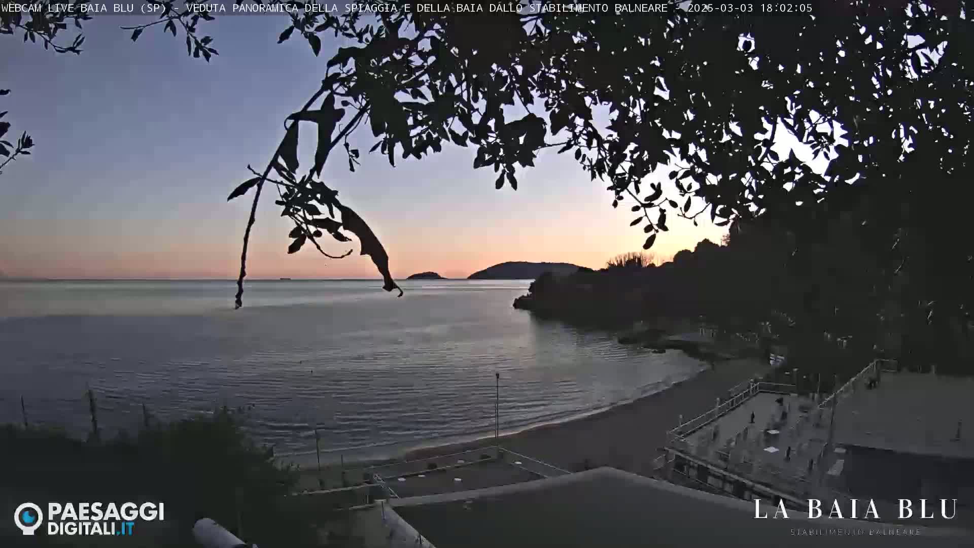A tranquil beach scene at sunset, viewed through silhouetted tree branches, shows calm water and a distant shoreline.