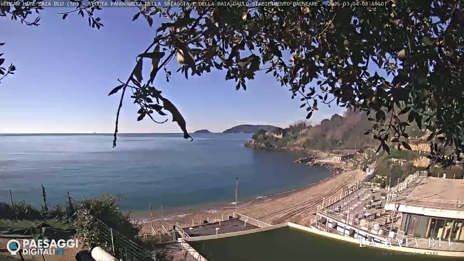 A sandy beach and calm bay are seen from a high vantage point, partially obscured by tree branches under a clear blue sky.