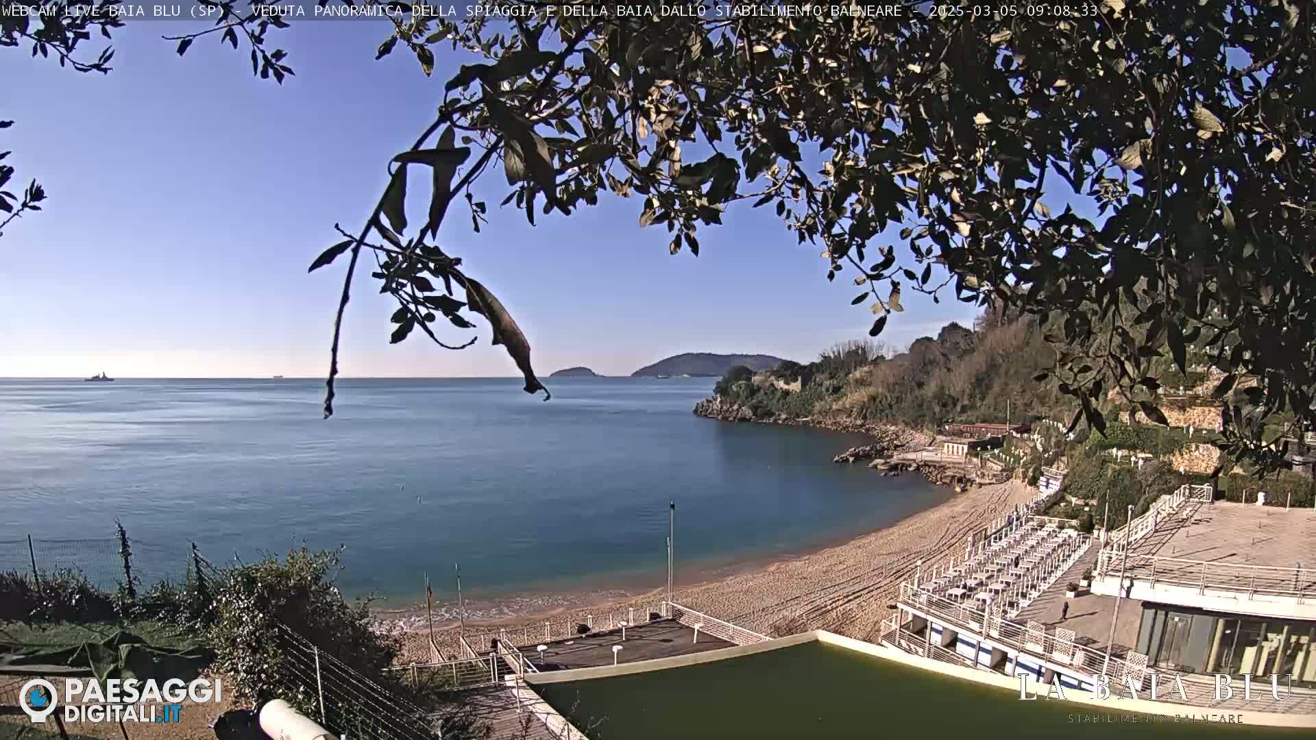 A sandy beach cove with calm blue water, viewed from behind overhanging tree branches under a clear sunny sky.