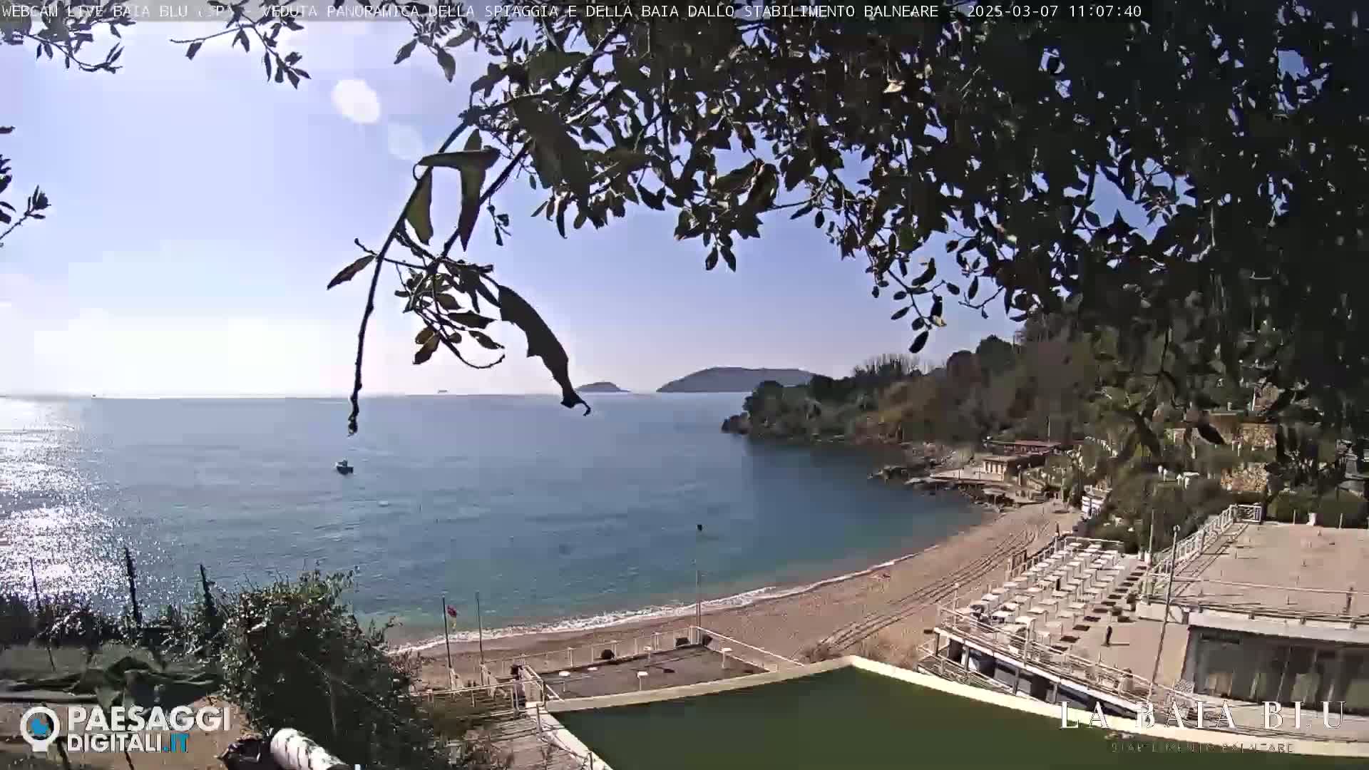 A sunny day overlooking a calm bay with a sandy beach and beach chairs, partially obscured by tree branches.