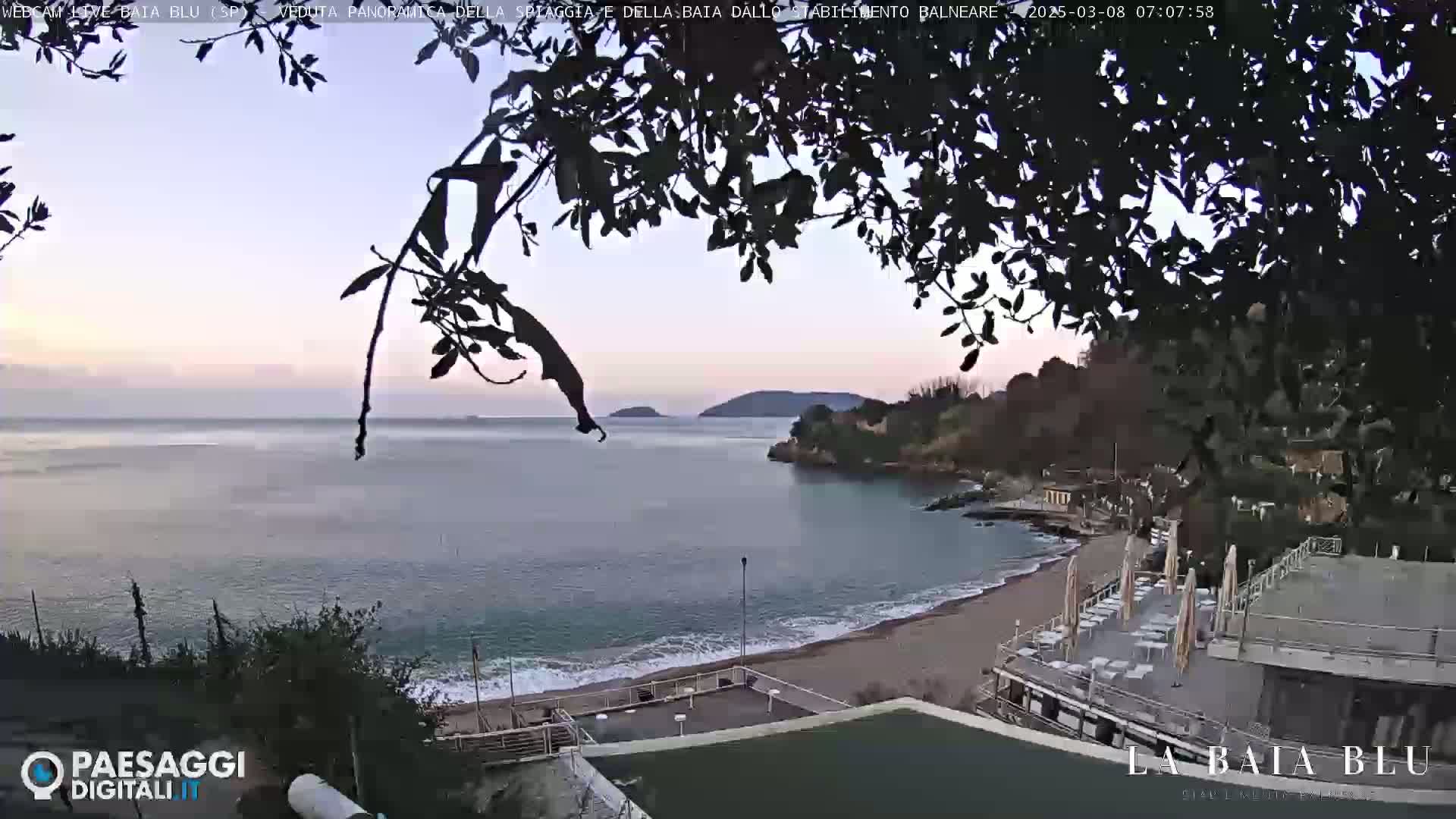 A tranquil beach scene at dawn or dusk, with calm sea waters lapping a sandy shore, partially obscured by overhanging tree branches.