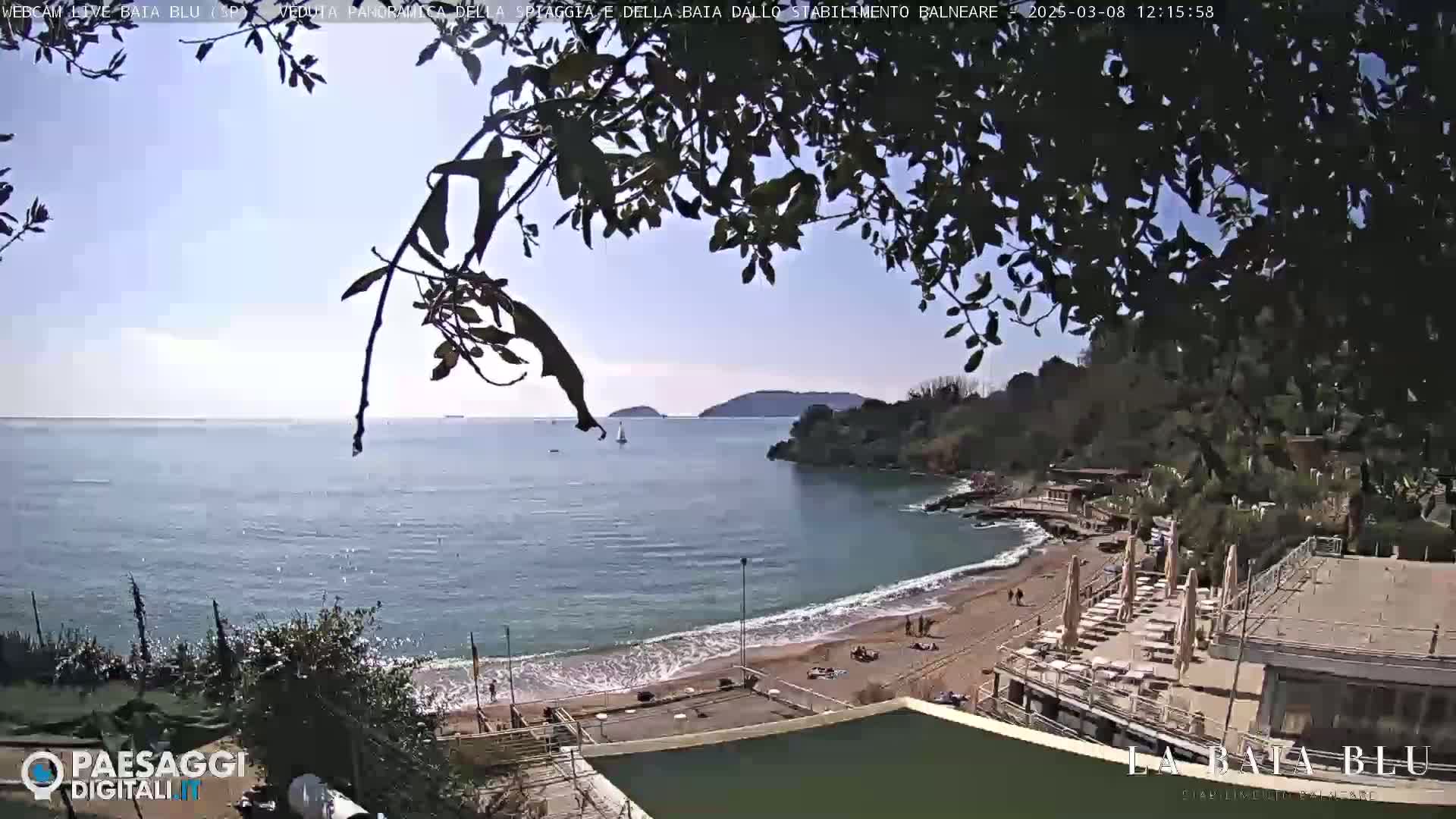 A beach with calm, blue water under a mostly clear sky is viewed from above, partially obscured by tree branches.