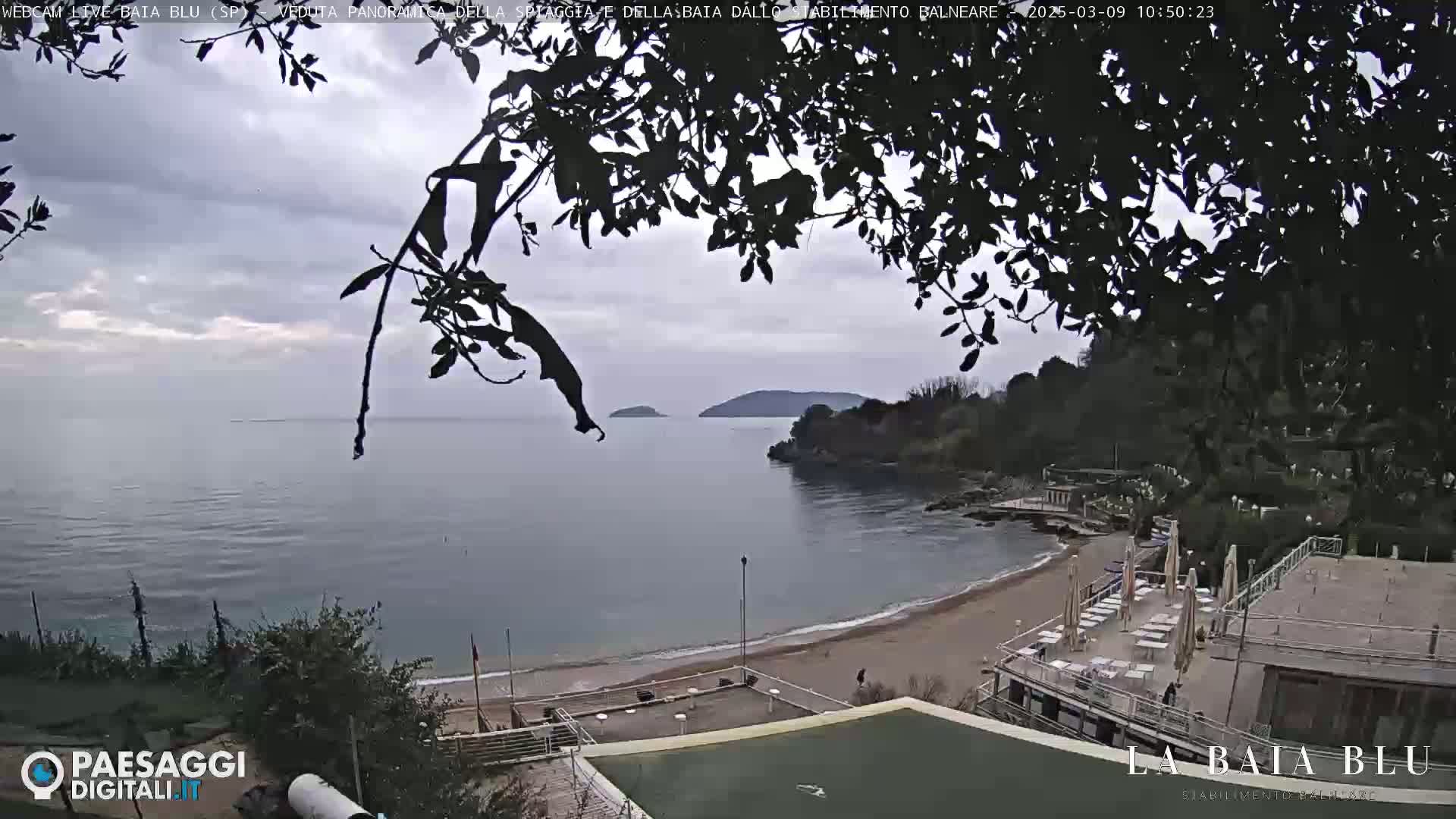 A mostly cloudy day overlooks a sandy beach and calm ocean, partially obscured by tree branches in the foreground.