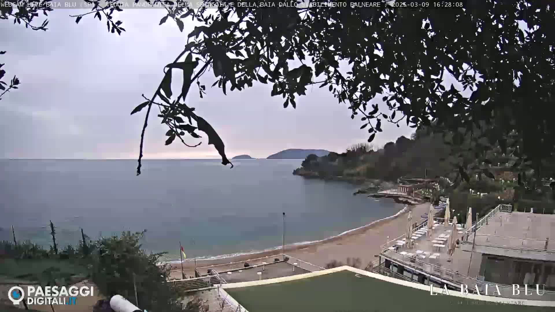 An overcast day shows a view of a sandy beach and calm bay with buildings, partially obscured by tree branches in the foreground.