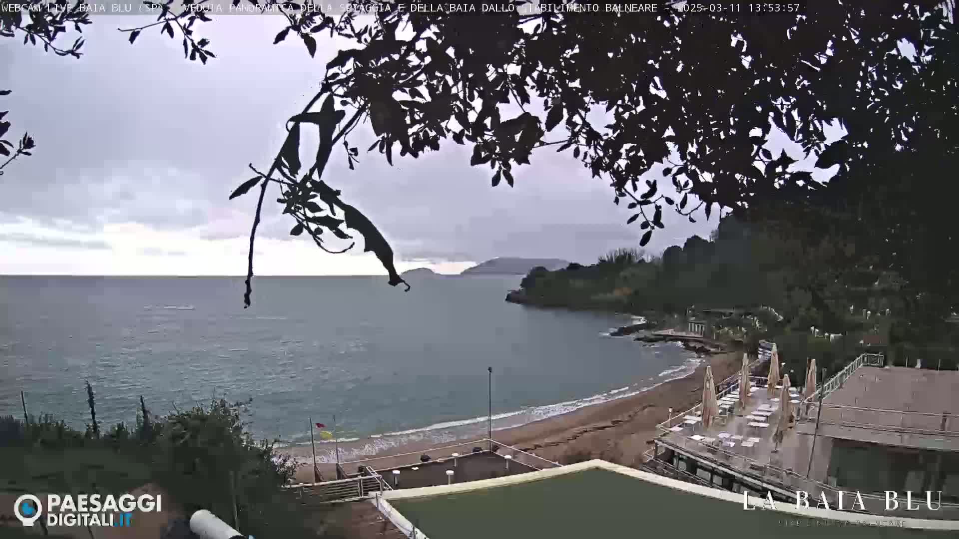 A mostly cloudy day overlooks a sandy beach and calm bay partially obscured by overhanging tree branches.