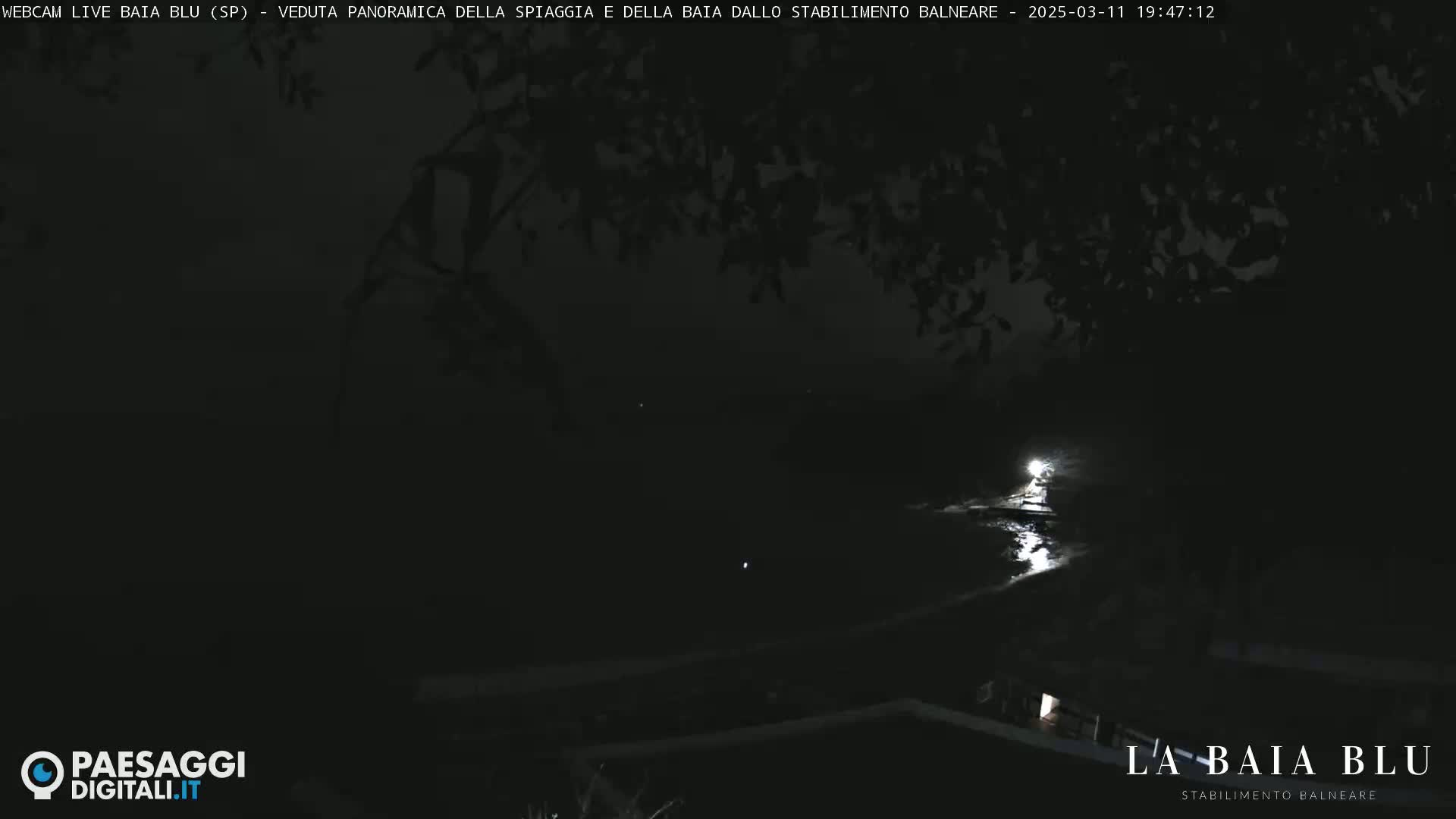 A nighttime, low-light view of a dark body of water partially visible under a canopy of trees.