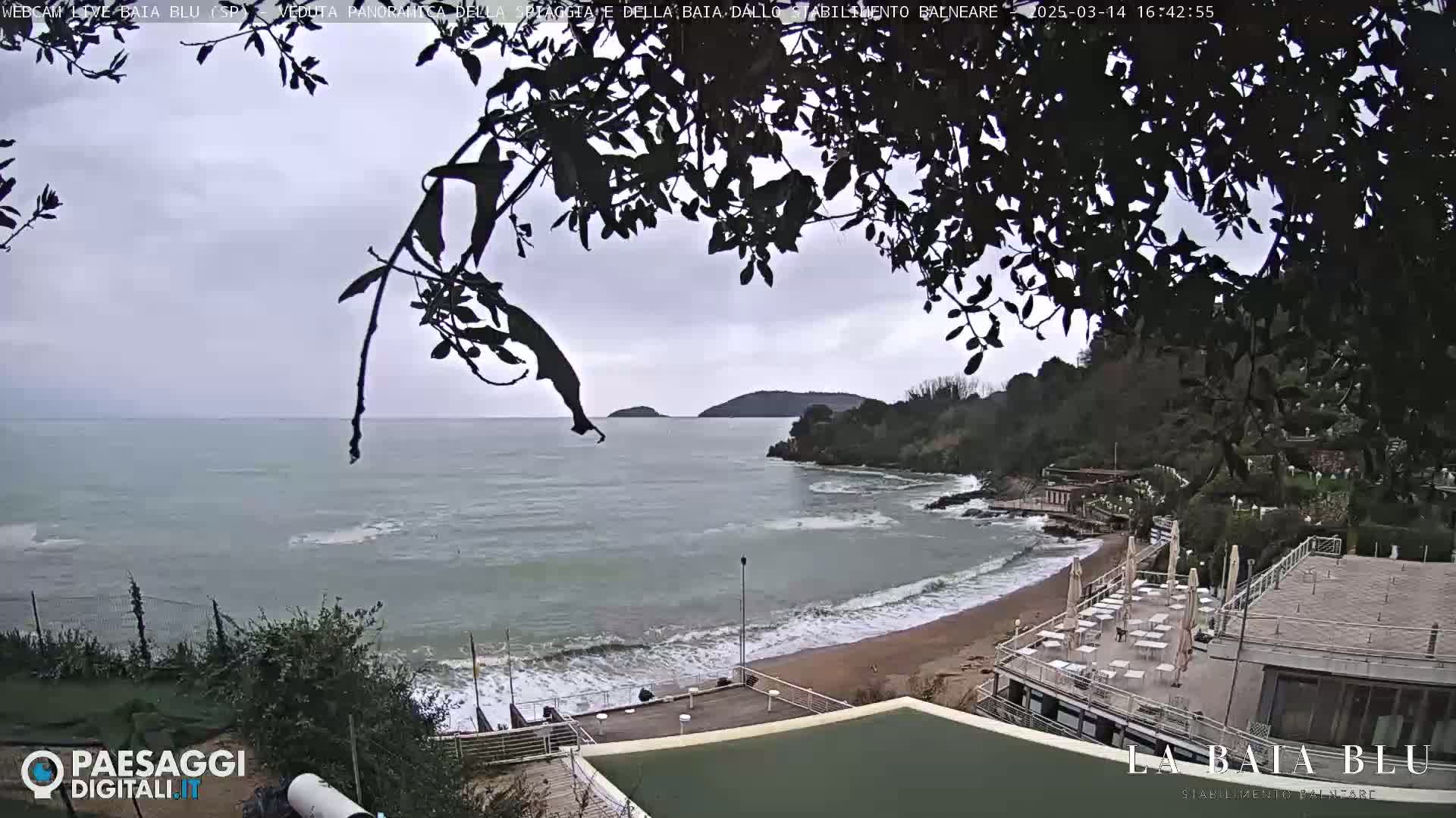 A beach with a partially cloudy sky and some waves is partially visible through the branches of a tree, with a building and beach chairs visible in the foreground.