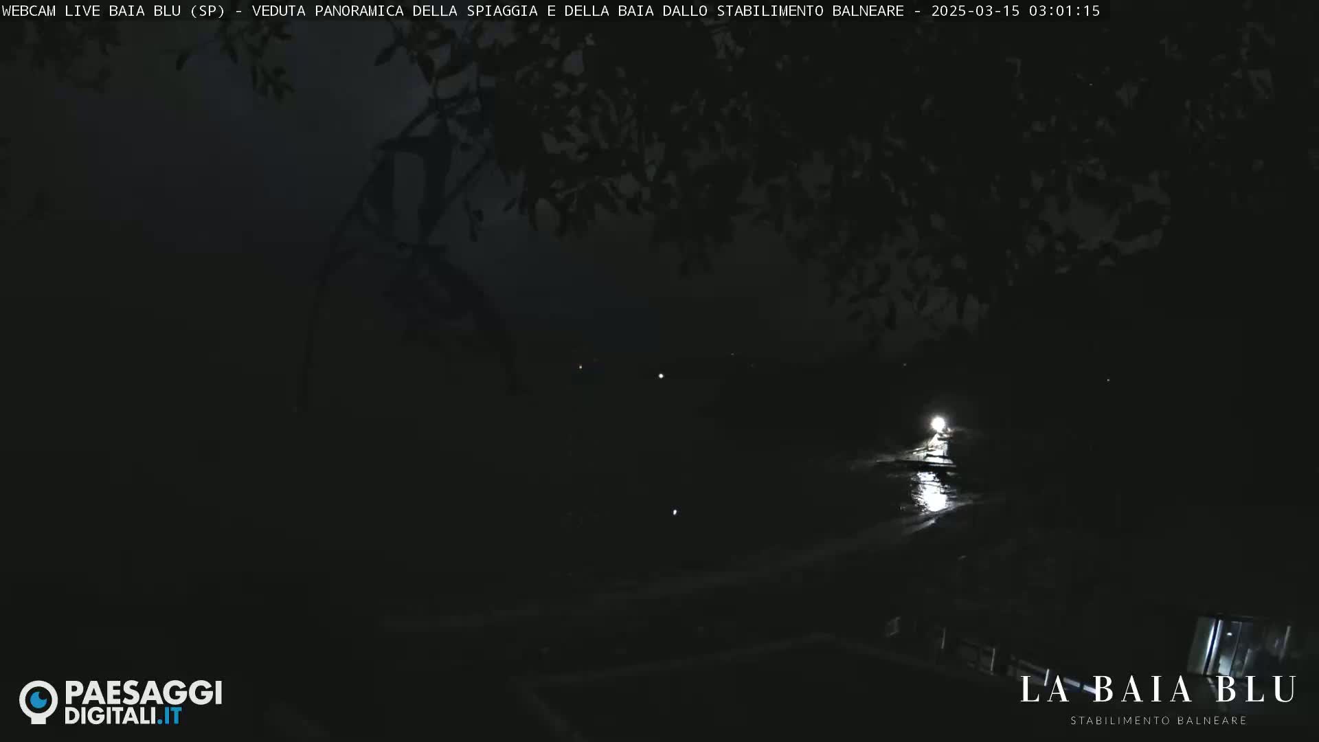 A dark nighttime scene shows a body of water reflecting light, partially obscured by silhouetted foliage.