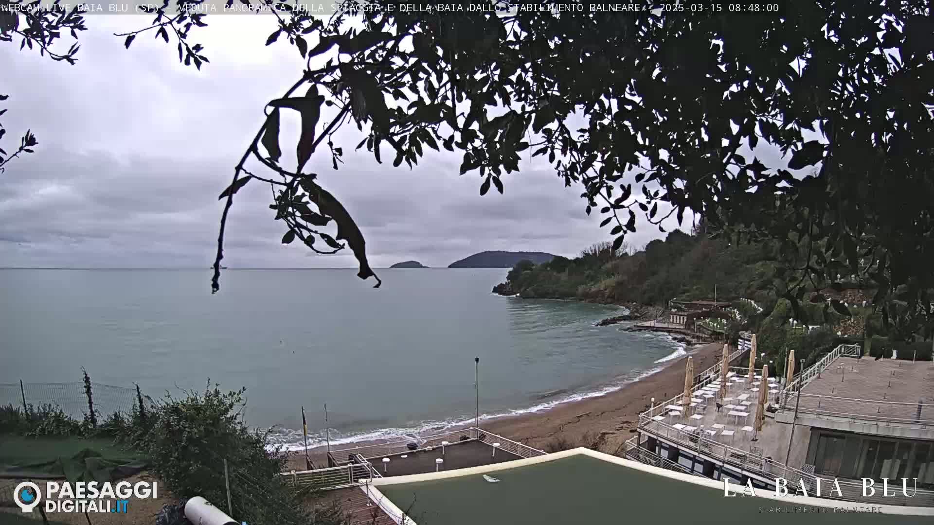 A beach with calm, gray water and overcast skies is partially visible through the branches of a tree, showing a sandy shore and beachside buildings.