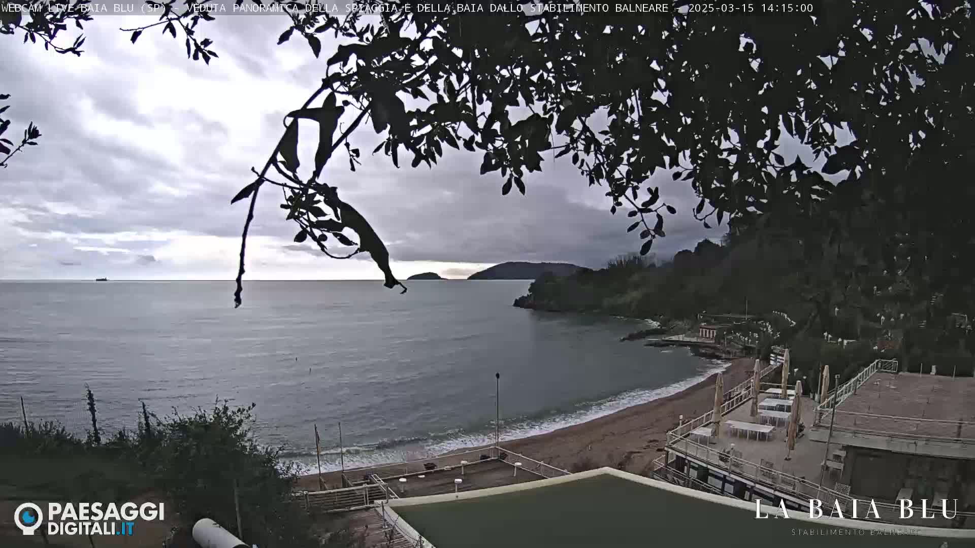 A beach with calm waves and a seaside establishment is seen under an overcast sky, partially obscured by tree branches.