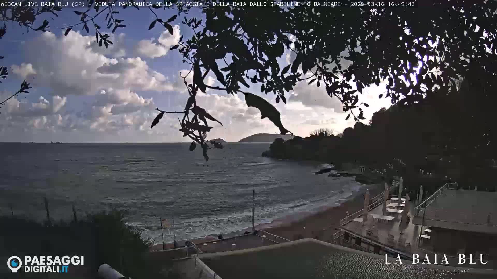 A partly cloudy day shows a beach with a building and small waves lapping the shore, viewed from a high vantage point through overhanging tree branches.