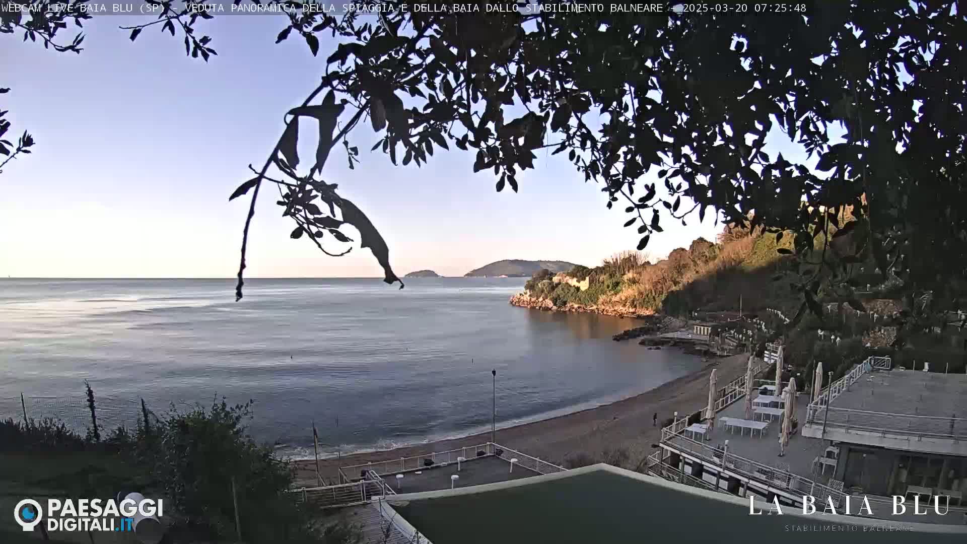 A calm bay with a sandy beach and beachfront building is seen through the branches of a tree under a clear, light-blue sky.
