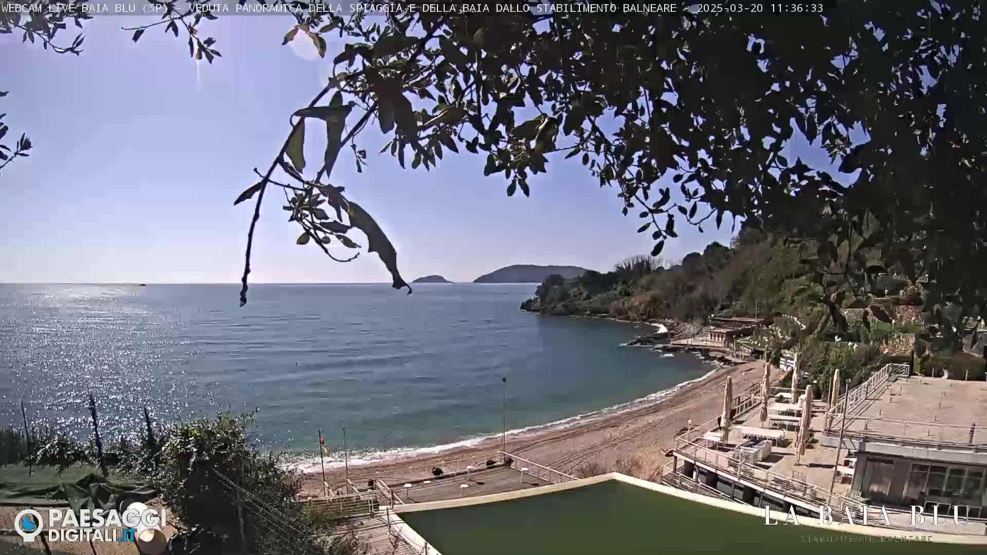 A sunny day overlooking a calm bay with a sandy beach and beachside buildings, partially obscured by tree branches.