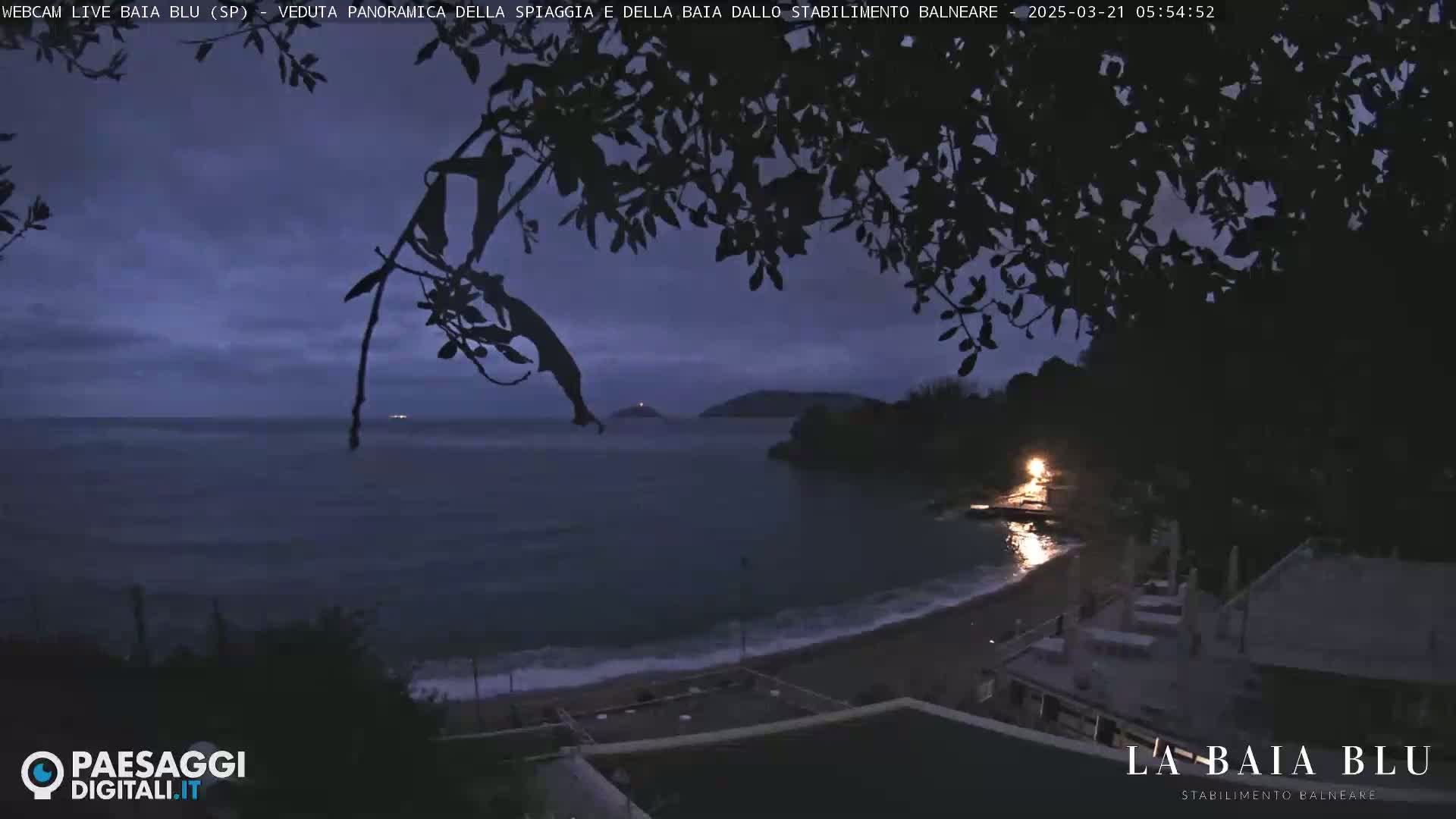 A dark, twilight view of a beach and calm ocean, partially obscured by tree branches overhead, under an overcast sky.