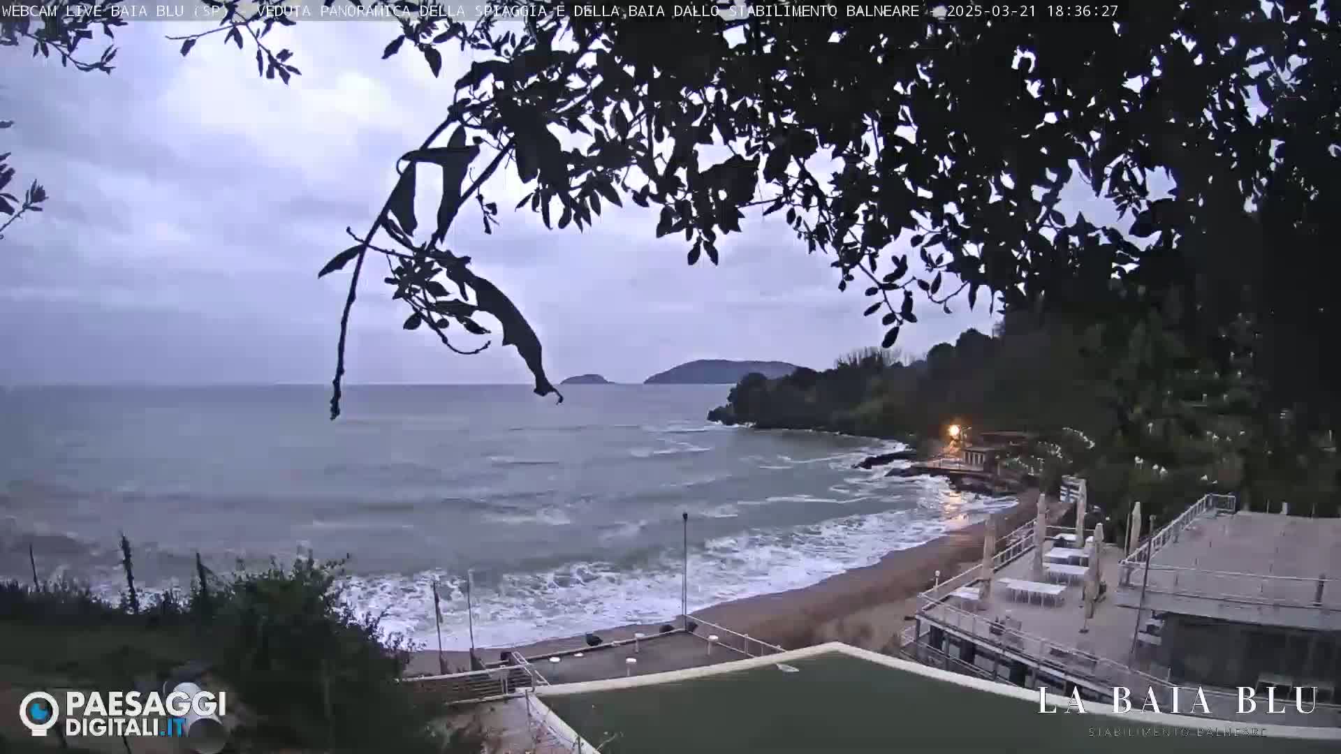 An overcast sky hangs over a beach scene with choppy waves rolling onto the shore, partially obscured by dark tree branches.