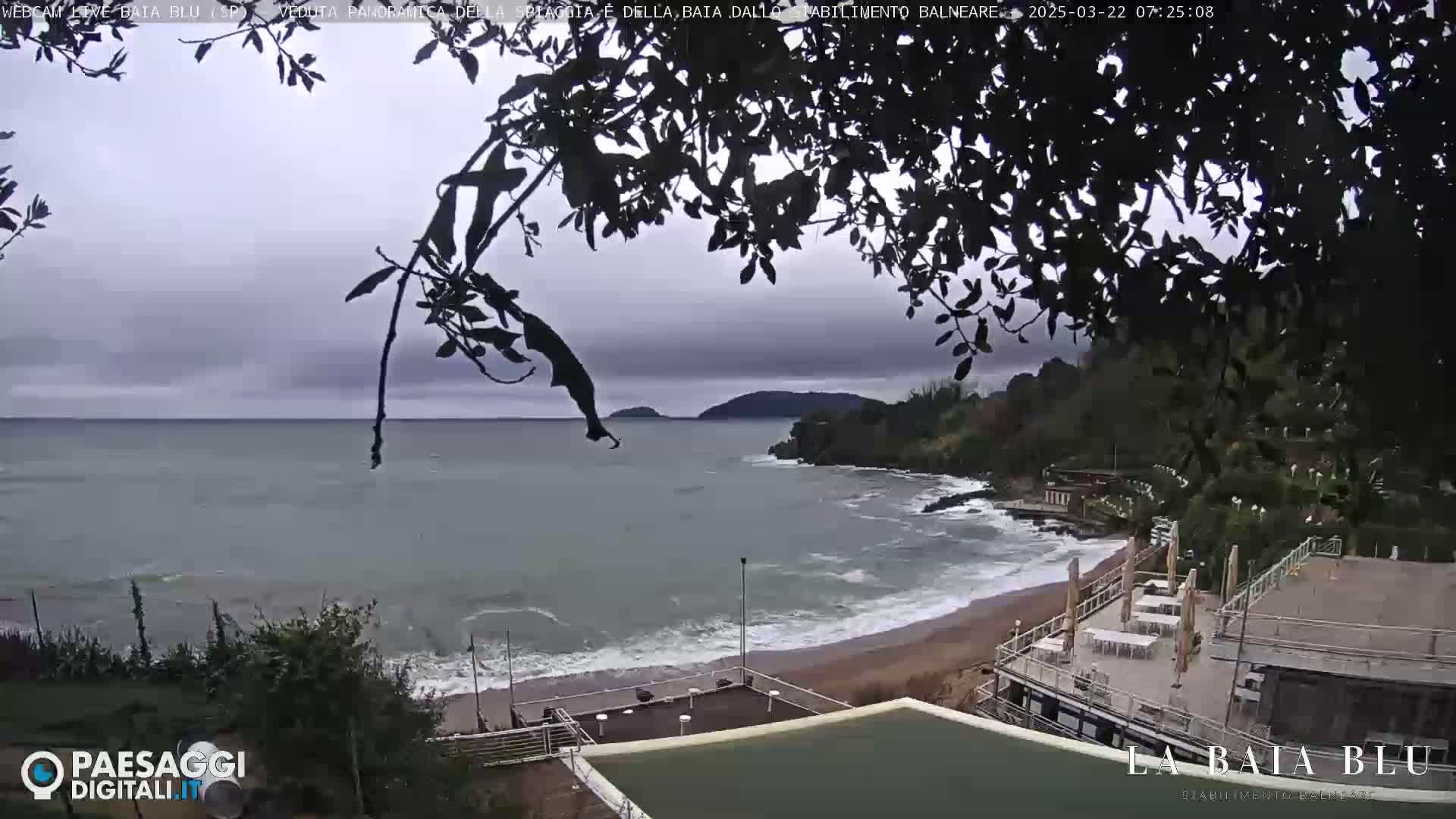 A beach with a building and some small waves is visible under an overcast sky, partially obscured by tree branches.