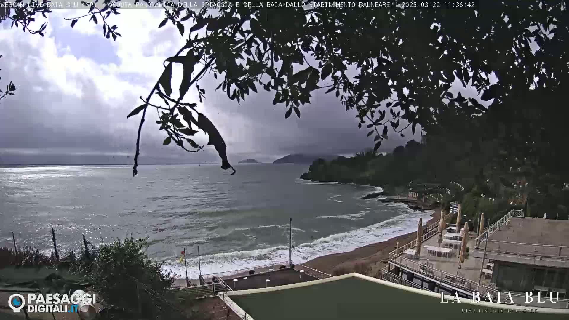 A partly cloudy day shows a beach with small waves and a seaside building partially obscured by tree branches.