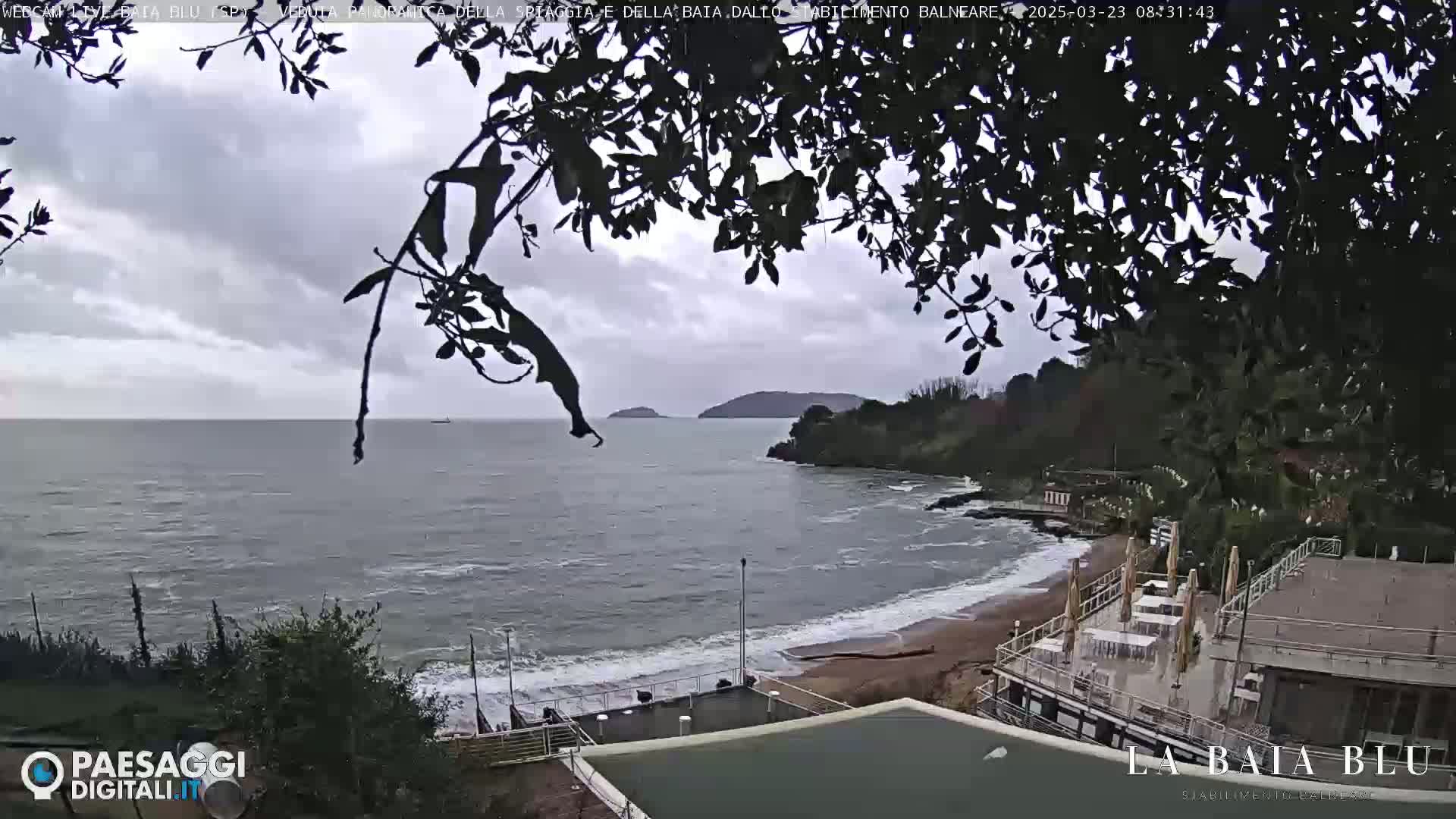 A beach with calm waves and a partially overcast sky is viewed from above, partially obscured by tree branches.