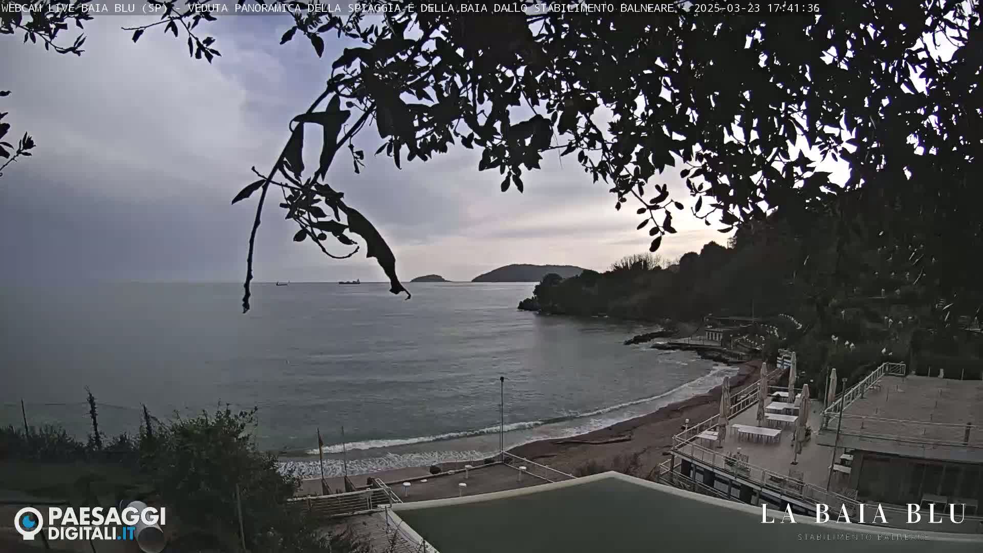 A beach with calm, gray water under an overcast sky is partially seen through the branches of a tree, with a building and sandy shore in the foreground.
