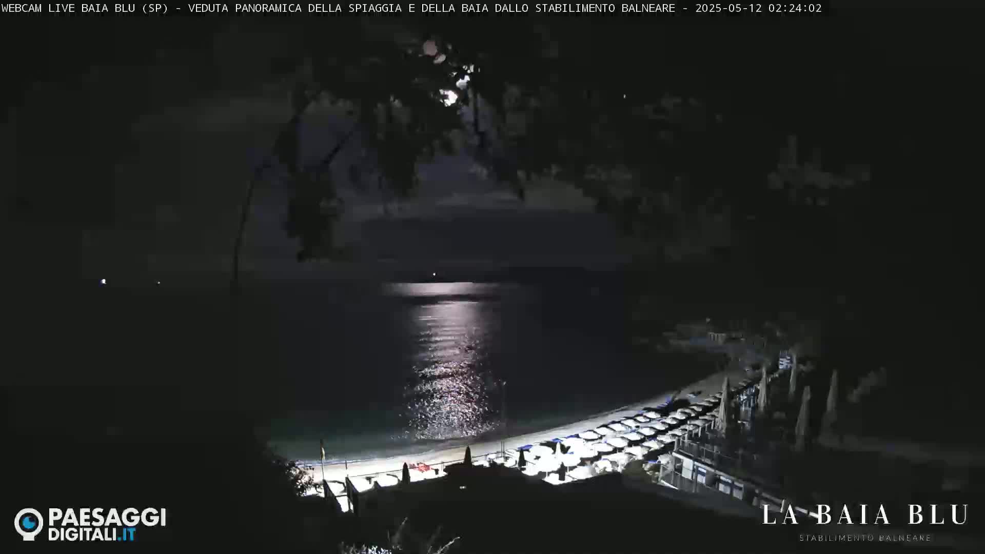 A moonlit nighttime view of a beach with rows of beach umbrellas and chairs, and calm water reflecting the moonlight.