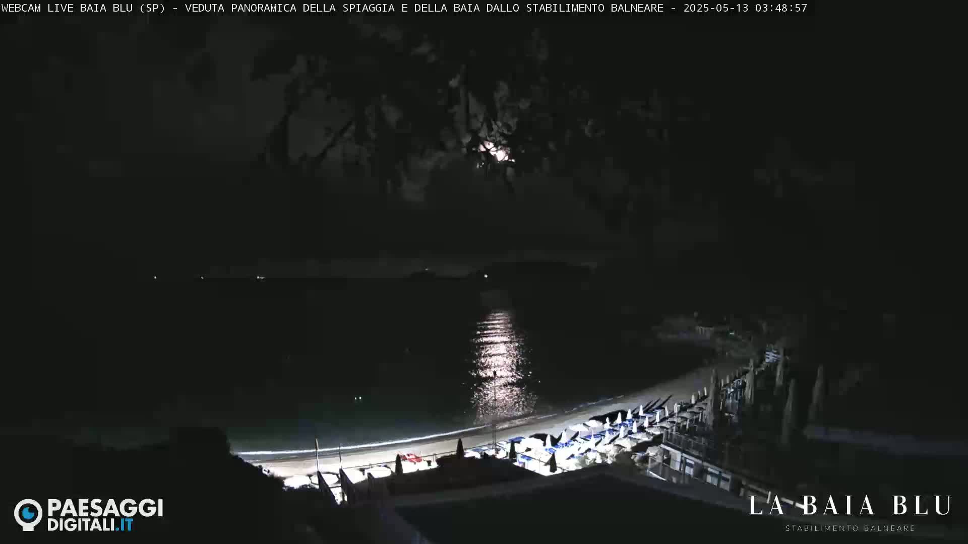 A moonlit nighttime view of a beach with beach umbrellas and chairs, a calm sea reflecting the moonlight, and dark foliage overhead.