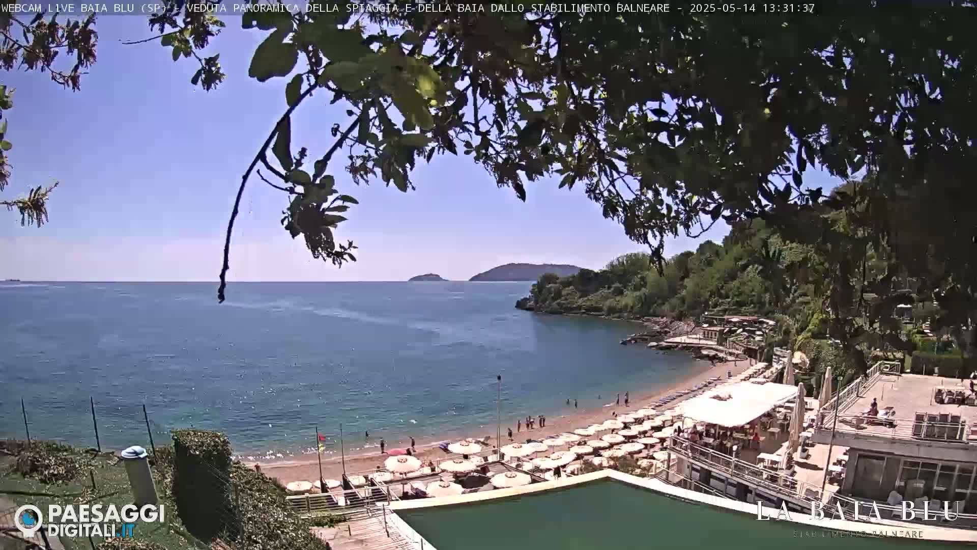 A sandy beach with numerous umbrellas and people is situated on a calm bay under a sunny sky, partially obscured by overhanging tree branches.