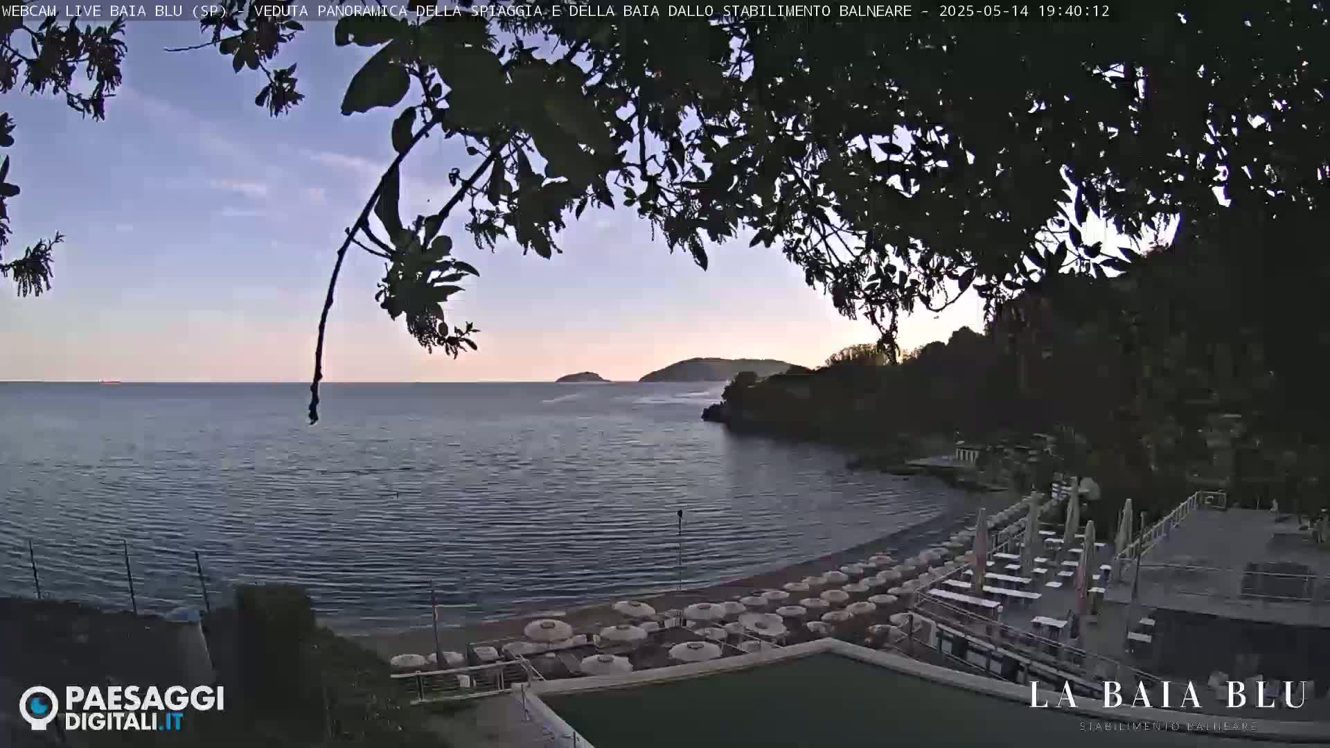 A calm, twilight ocean scene shows a sandy beach with numerous closed umbrellas and patio furniture, partially obscured by overhanging tree branches.