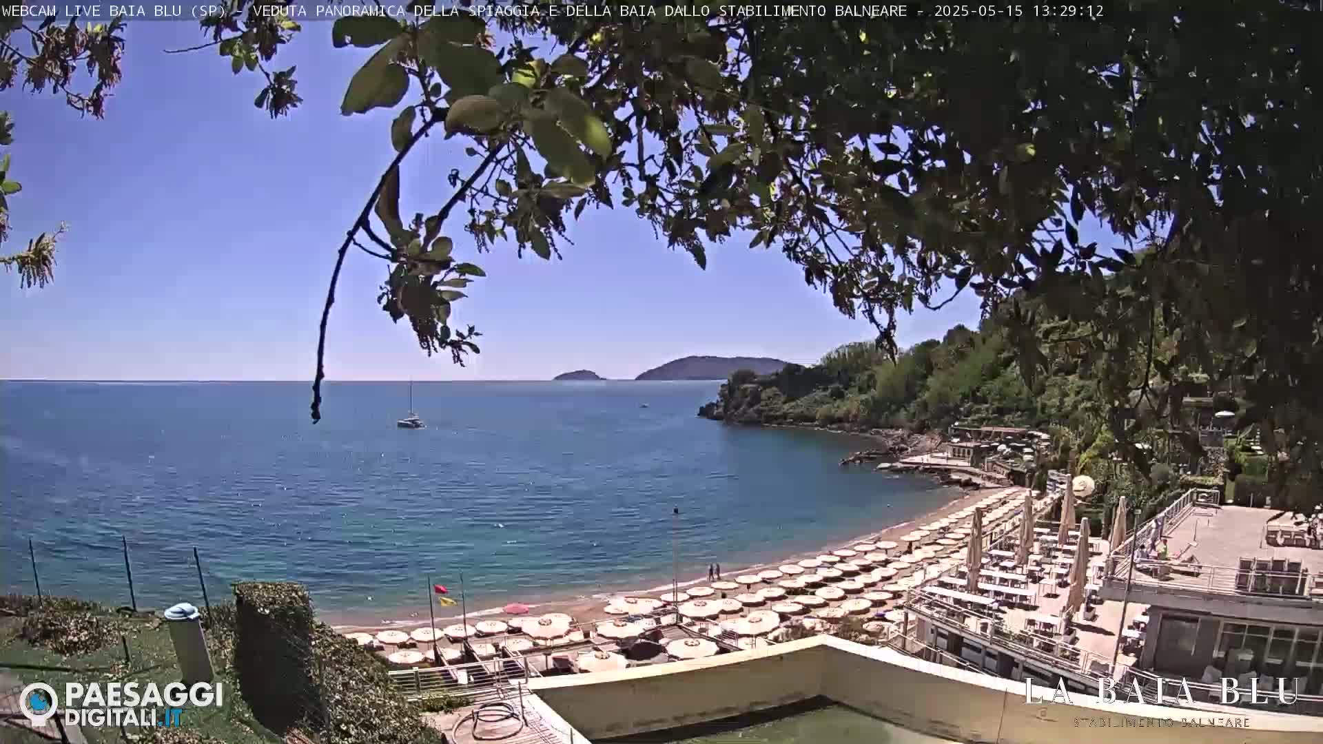 A sunny day at a beach with many umbrellas and beach chairs, partially obscured by tree branches, overlooking a calm bay.