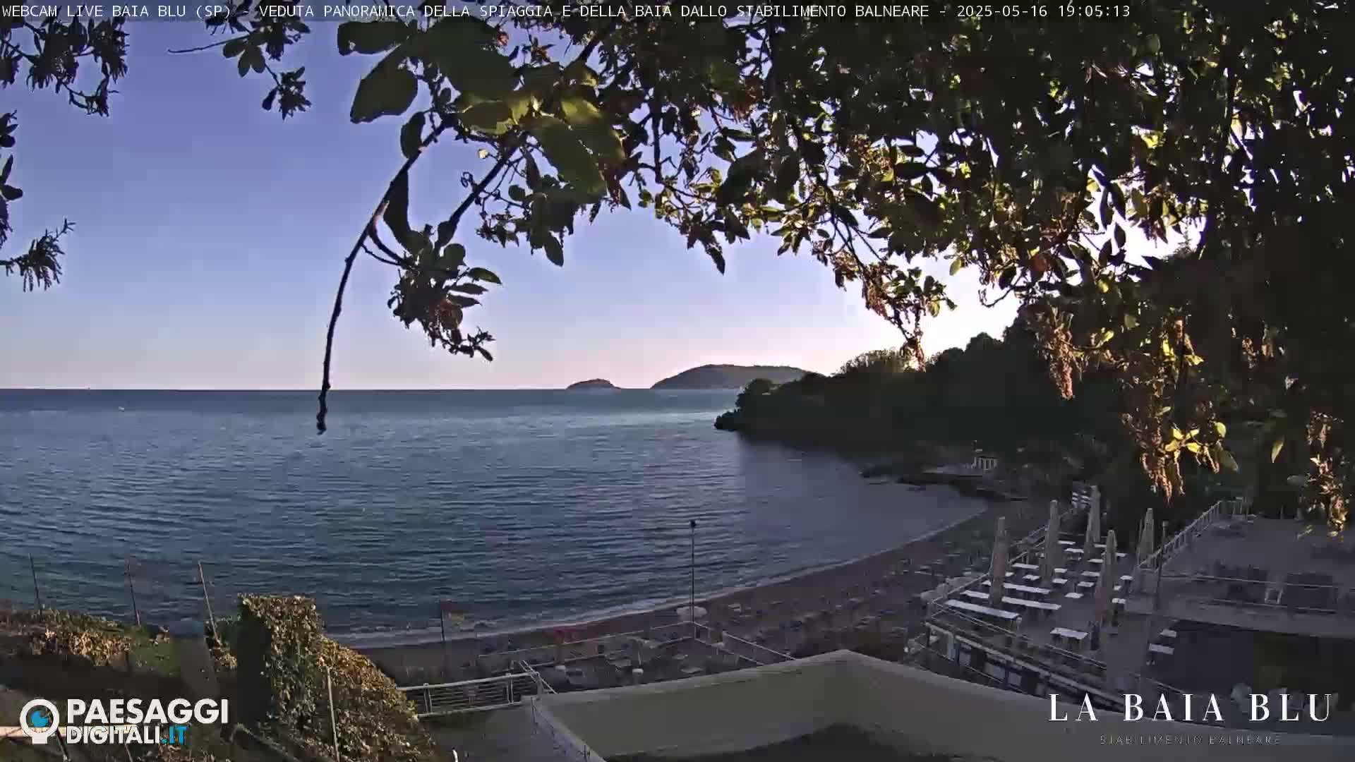 A tranquil cove with a sandy beach and beach umbrellas is seen through tree branches under a clear sky.