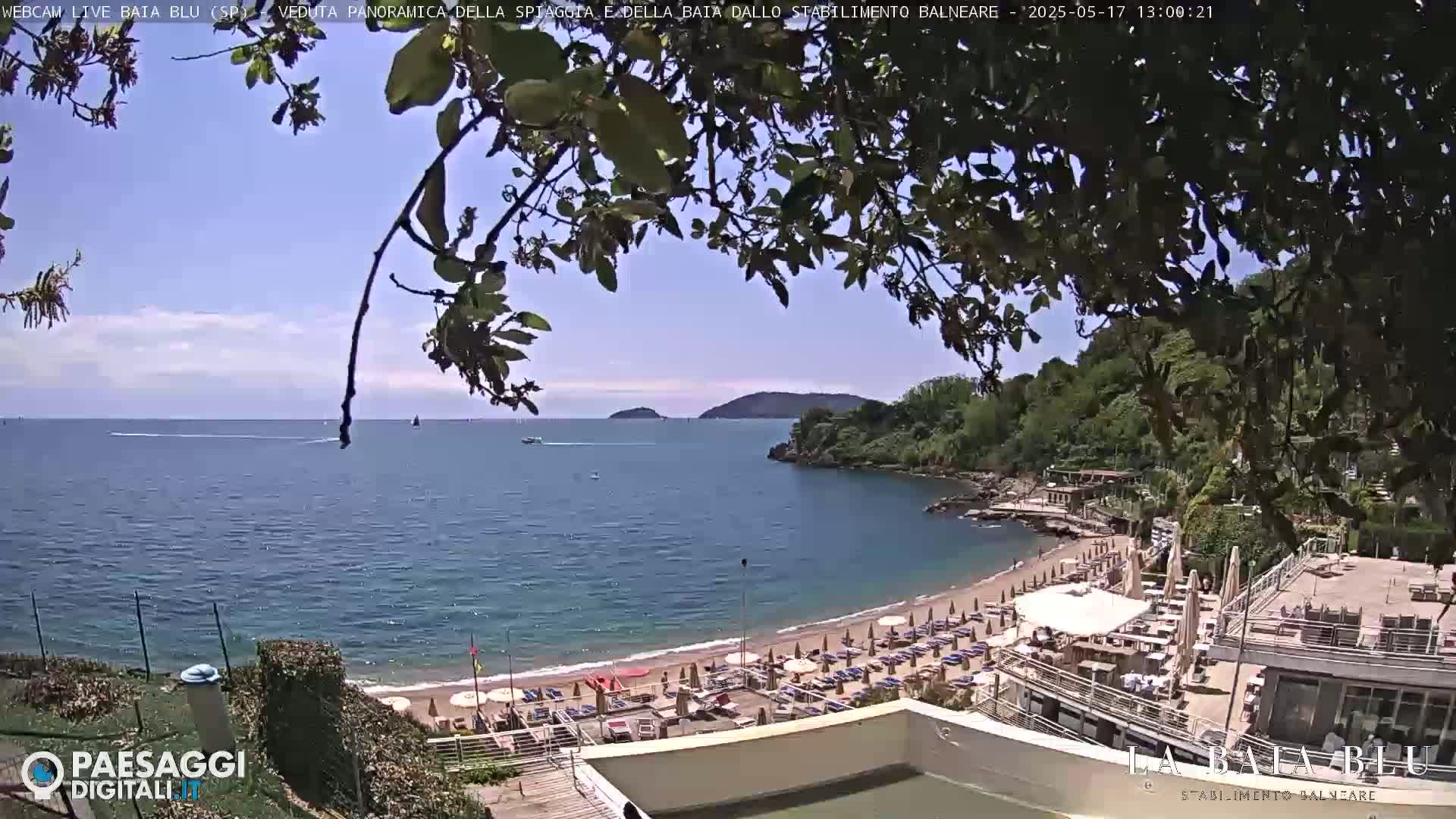 A mostly sunny, outdoor view of a beach with numerous umbrellas and lounge chairs, a calm bay, and green hills in the background, partially obscured by tree branches in the foreground.