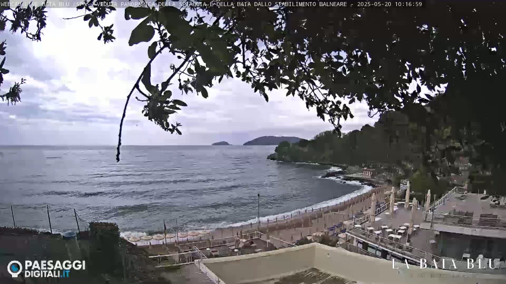 An overcast day at a beach with calm waves, partially obscured by tree branches in the foreground, shows a sandy beach with umbrellas and a resort-like building overlooking the water.