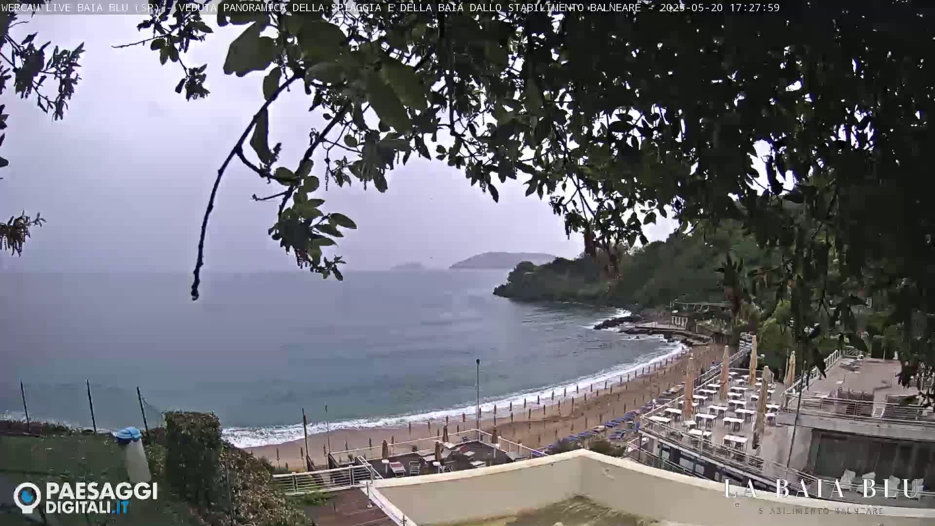 A beach with umbrellas and lounge chairs is partially visible through overhanging tree branches on an overcast day.