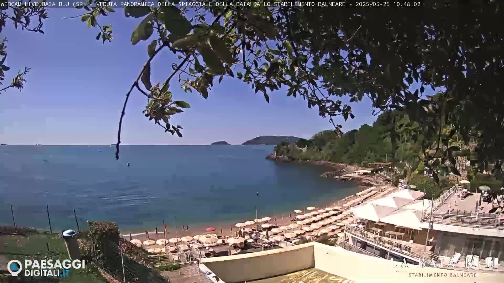 A sunny day overlooking a calm bay with a sandy beach lined with umbrellas and a beach club, partially obscured by tree branches.