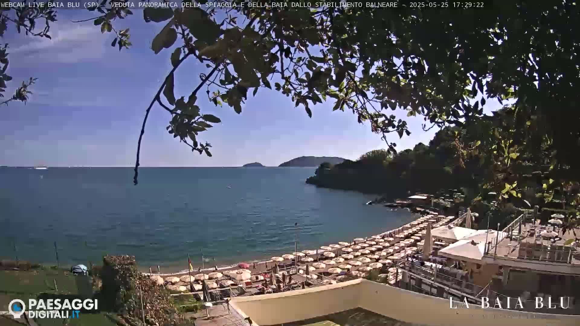 A beach with numerous umbrellas under a mostly sunny sky is partially visible through overhanging branches, overlooking a calm bay with distant hills.