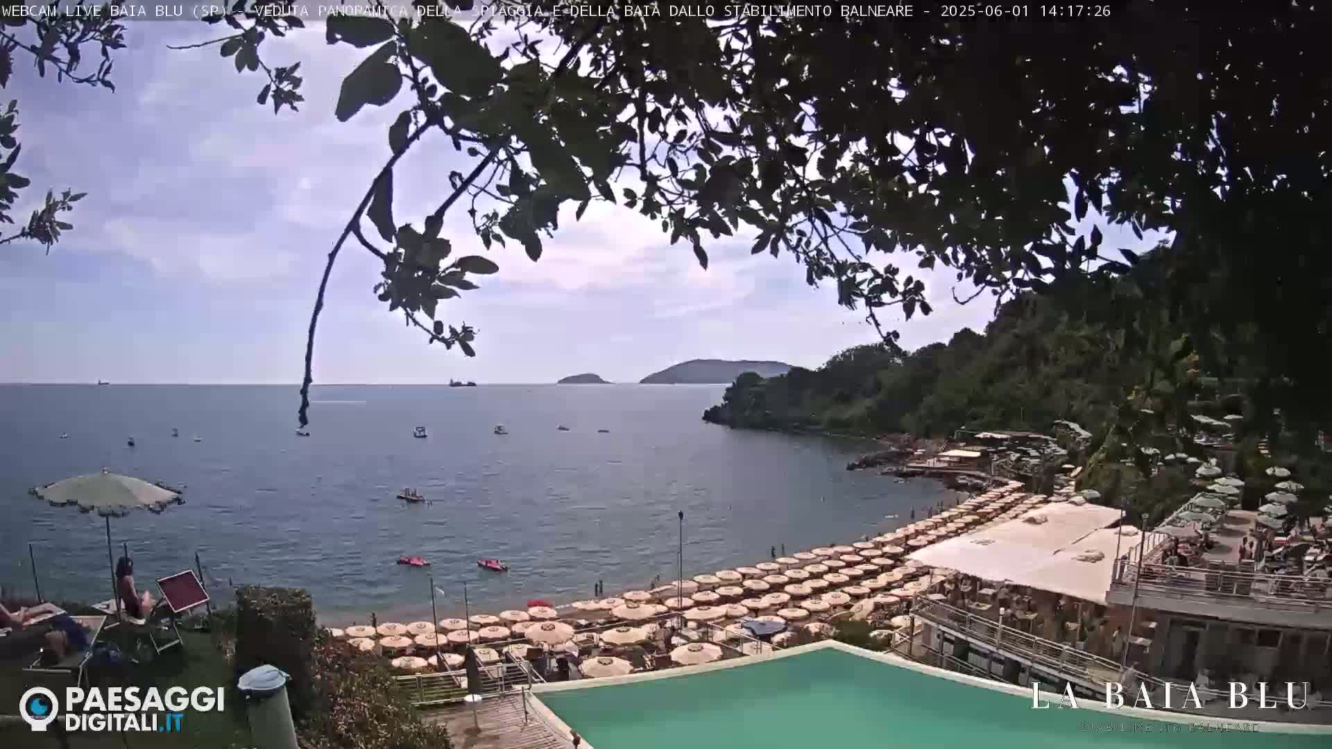 A partly cloudy day overlooking a beach with many umbrellas and a calm sea, partially obscured by tree branches.
