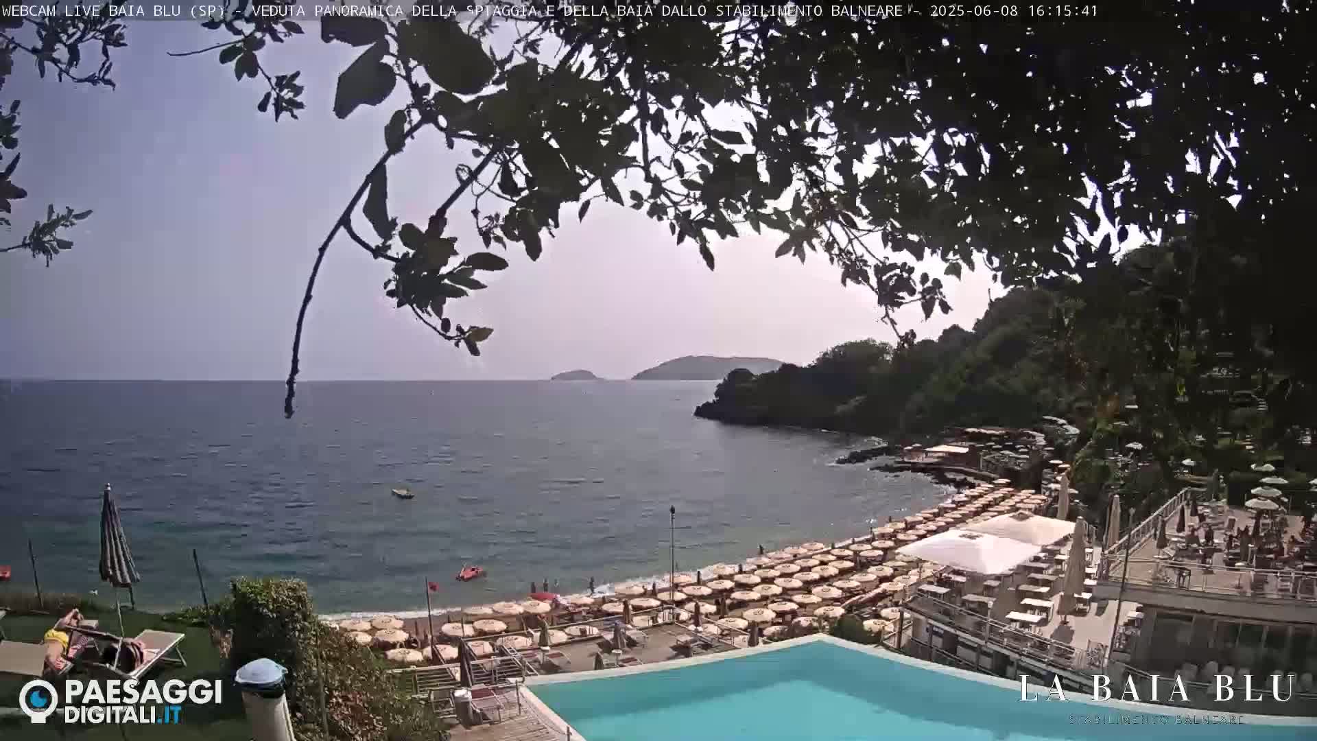 A partly sunny day shows a beach with numerous umbrellas and lounge chairs next to a calm blue sea, viewed from above a swimming pool and partially obscured by overhanging tree branches.