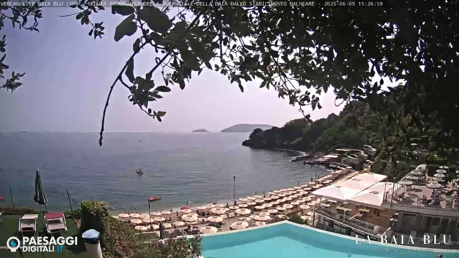 A partly sunny view of a beach with many umbrellas and a calm sea, seen from above a swimming pool and partially obscured by tree branches.