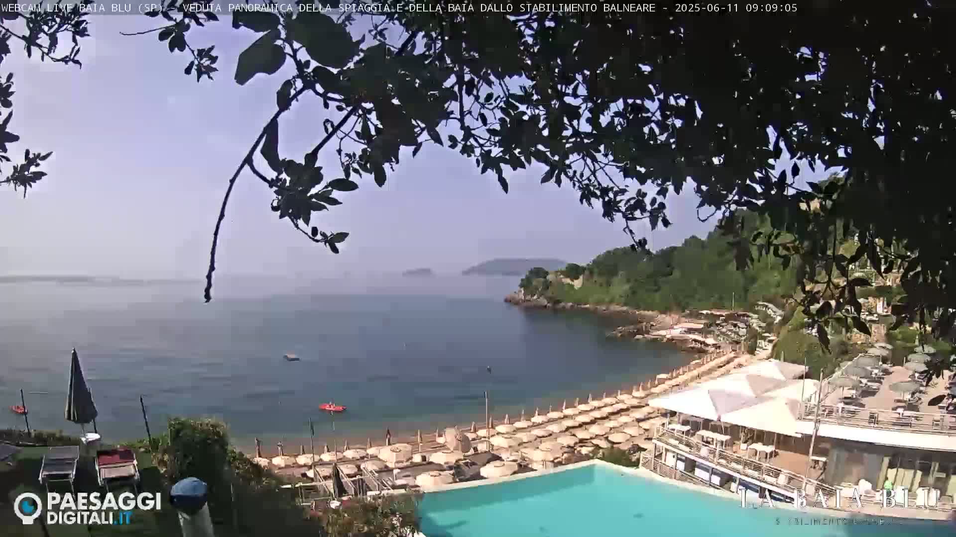 A hazy view of a beach with numerous umbrellas and a swimming pool, partially obscured by tree branches, overlooks a calm bay and distant hills.