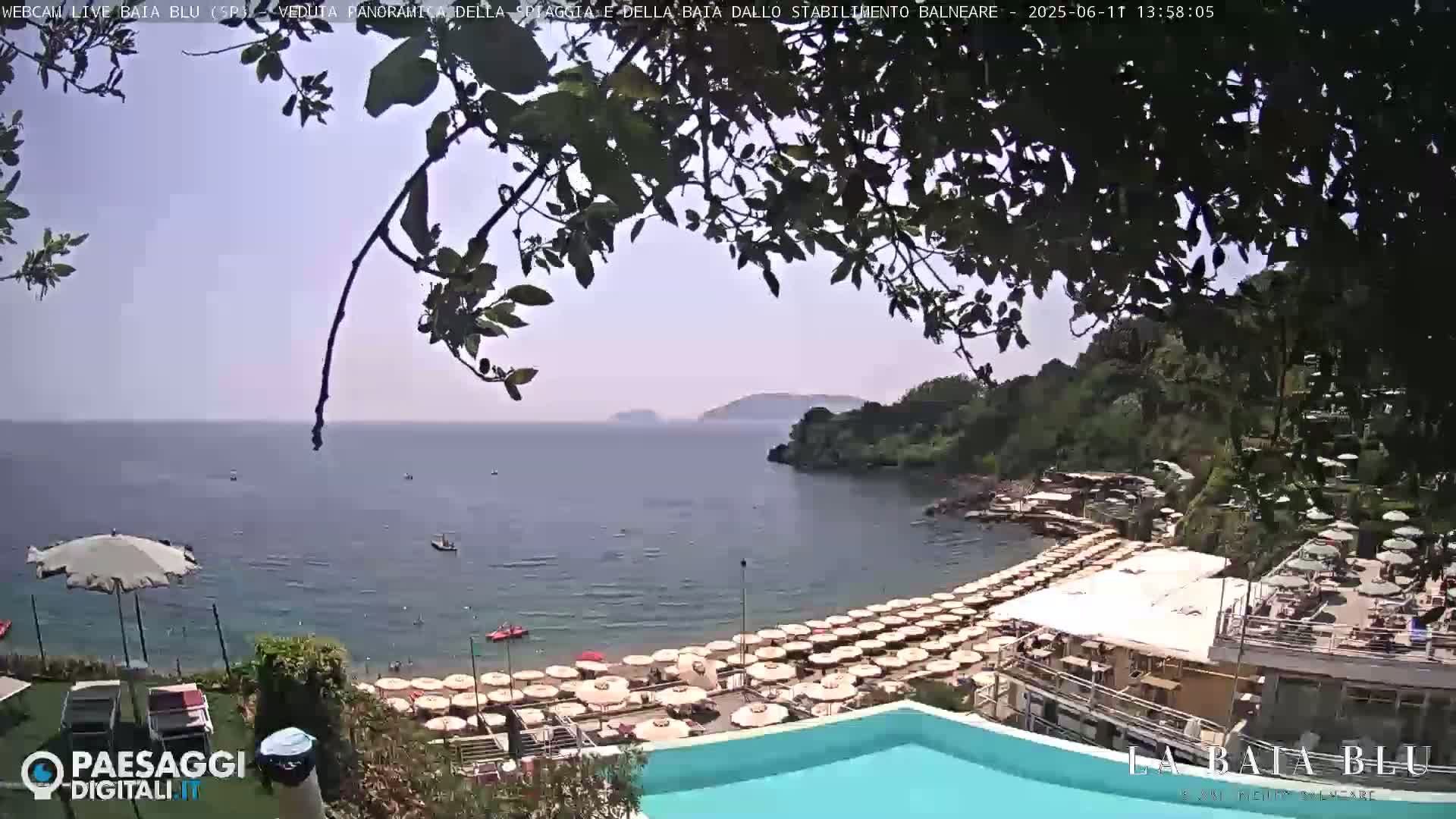 A mostly sunny beach scene with a calm sea, numerous beach umbrellas, and a swimming pool is partially viewed through the branches of a tree.